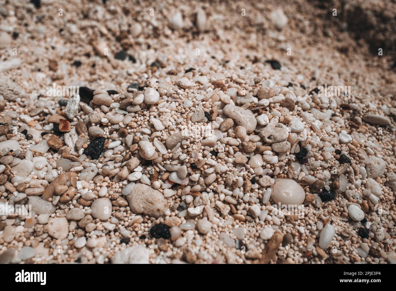 Konsistenz von winzigen beigen Strandkieseln. Natürliche Tapete Stockfoto
