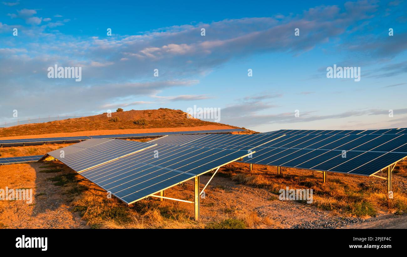 Solarpaneelfarm in einem Vorort bei Sonnenuntergang in Adelaide, Südaustralien Stockfoto