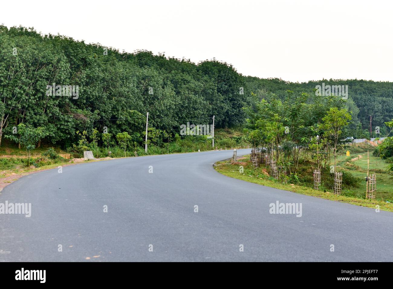 Kurvenreiche Straße durch den Dschungel. Ohne Fahrzeug. Stockfoto