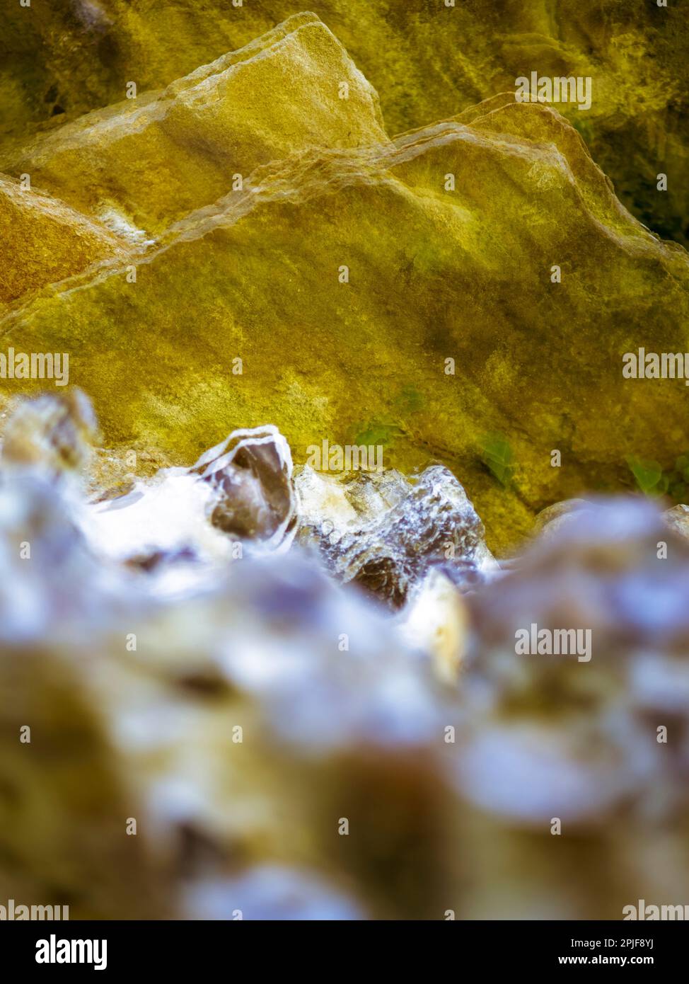 Auf die Mauer der Zeit blicken, verlassene römische Stadt, Silchester, Stadtmauern, Hampshire, England, Großbritannien, GB. Stockfoto