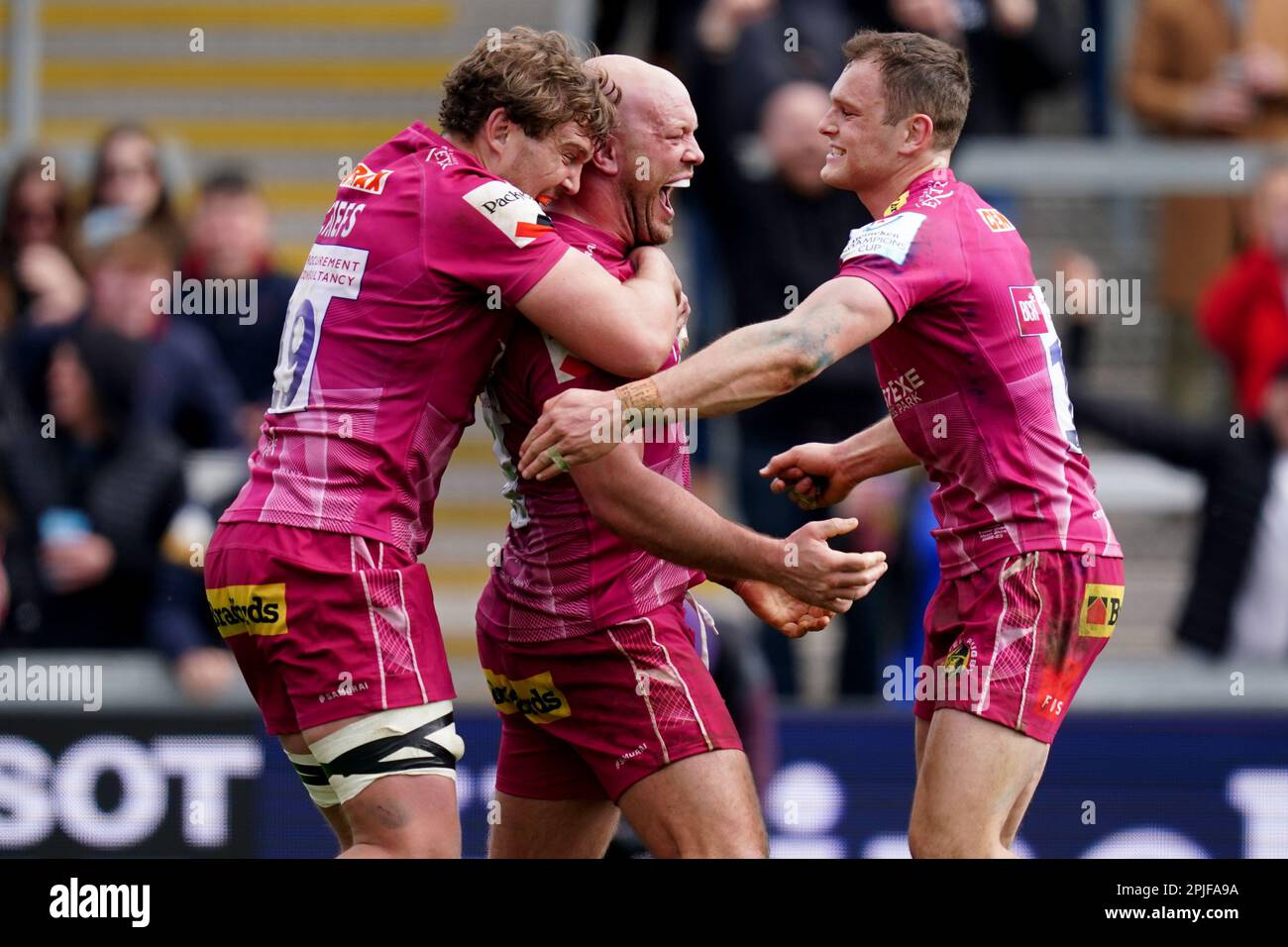 Jack Yeandle, Chefarzt von Exeter, feiert den letzten Versuch beim Heineken Champions Cup 16 im Sandy Park Stadium in Exeter. Foto: Sonntag, 2. April 2023. Stockfoto