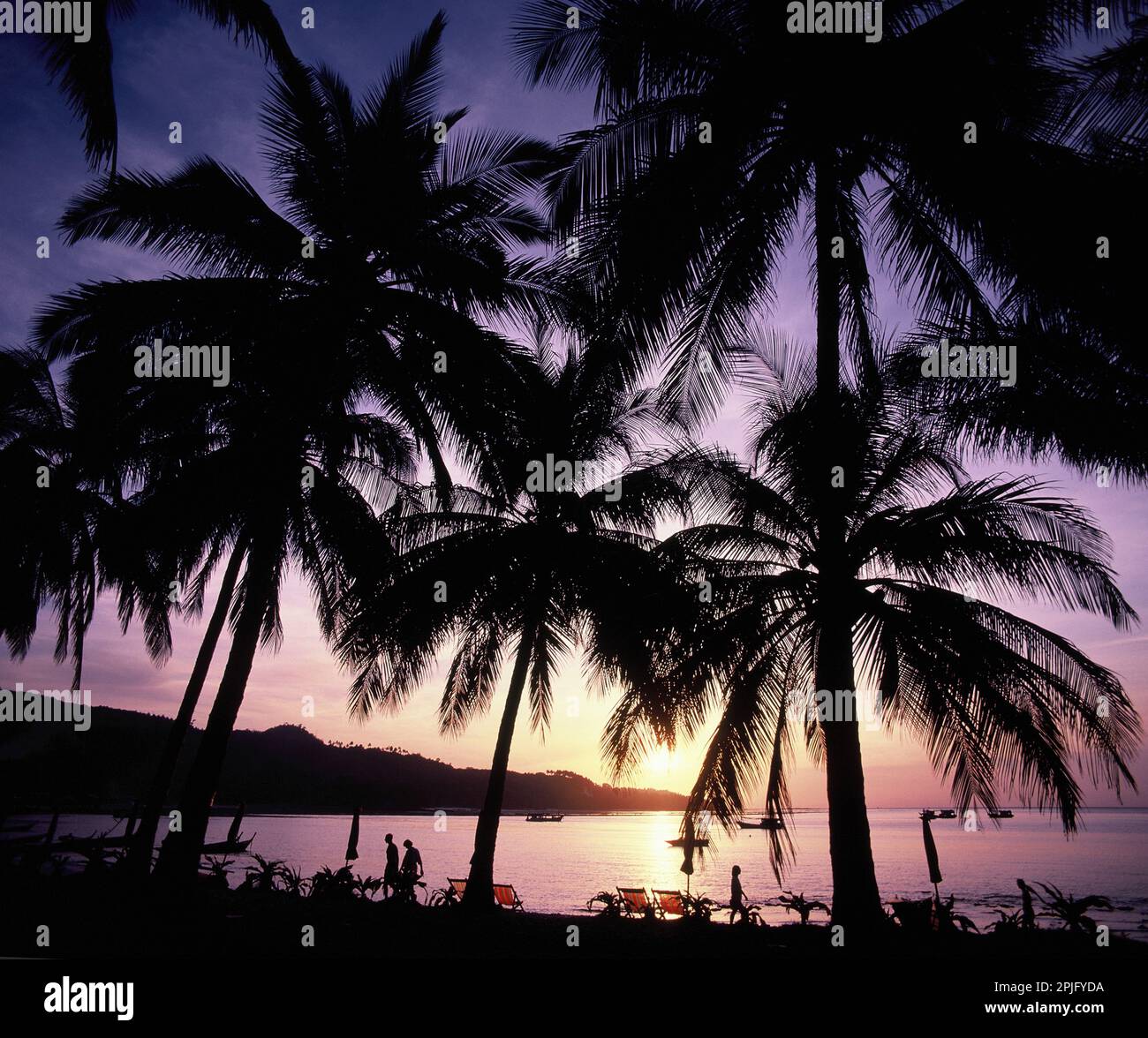 Thailand. Phi Phi Insel. Silhouette von Kokospalmen und Menschen am Strand. Stockfoto