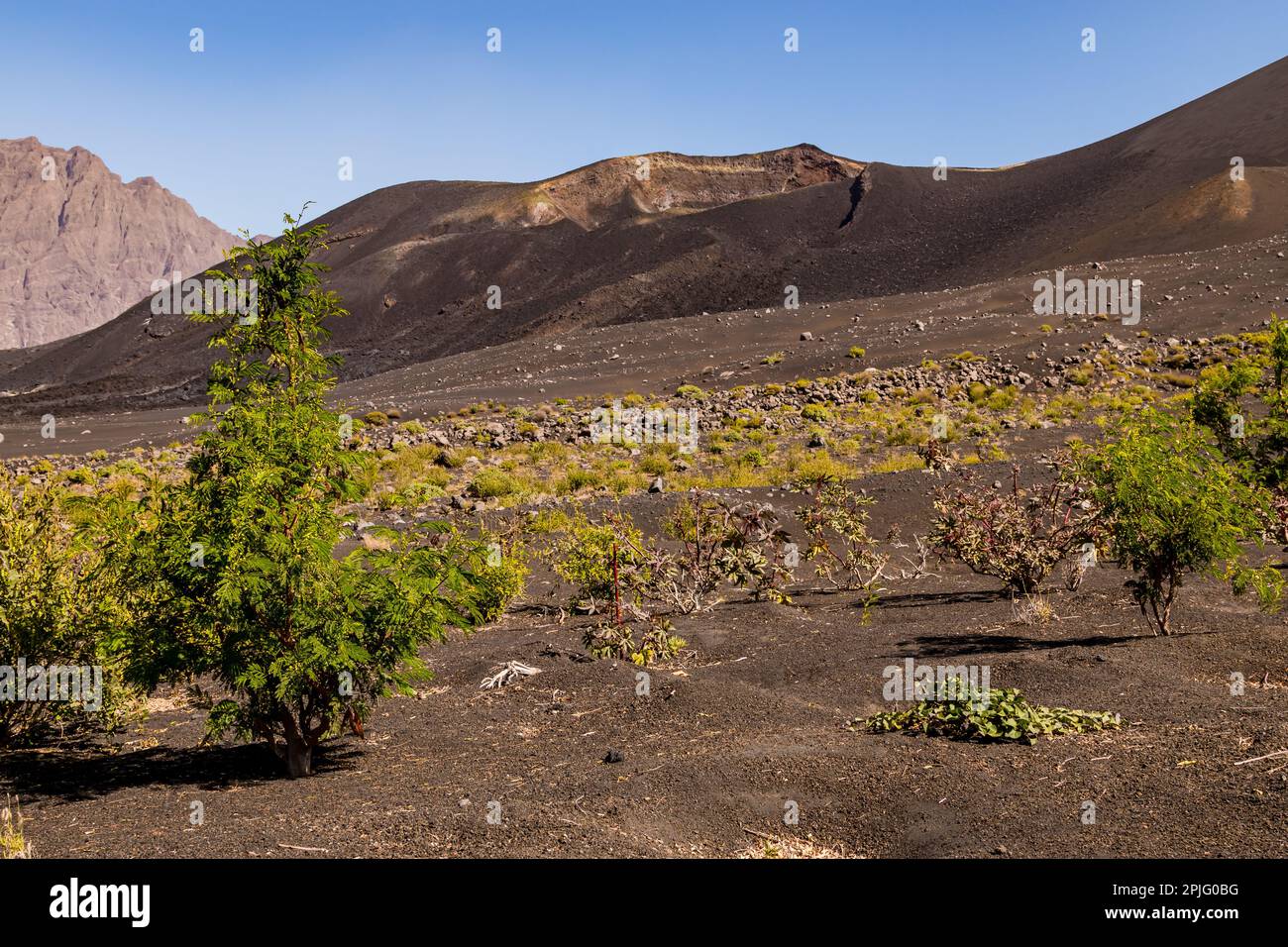 Ein sekundärer Krater mit Lavafeldern und Gräsern am Hang des Pico do Fogo auf Fogo Island, Kap Verde Inseln Stockfoto