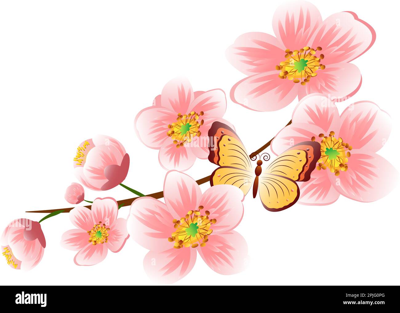 Ast mit Frühlingsblumen. Realistischer Obstbaumzweig. Handgezeichnetes detailliertes Clip-Art-Element auf weißem Hintergrund für Ihr Design, Postkarten Stock Vektor