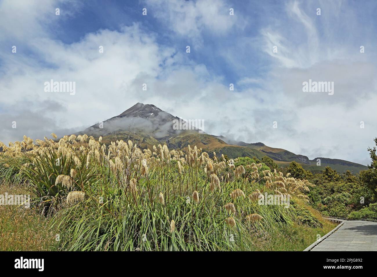 Mt Egmont-Nationalpark, Neuseeland Stockfoto