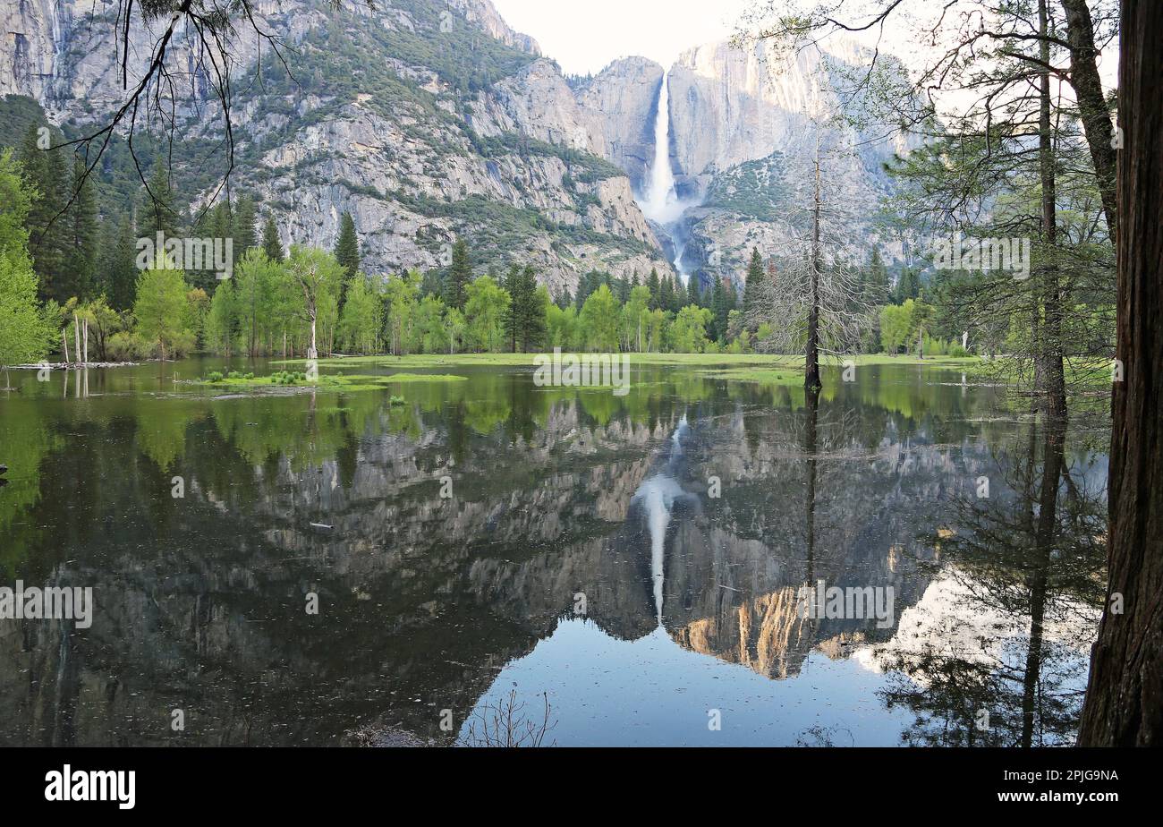 Perfekte Landschaft im Yosemite-Nationalpark, Kalifornien Stockfoto