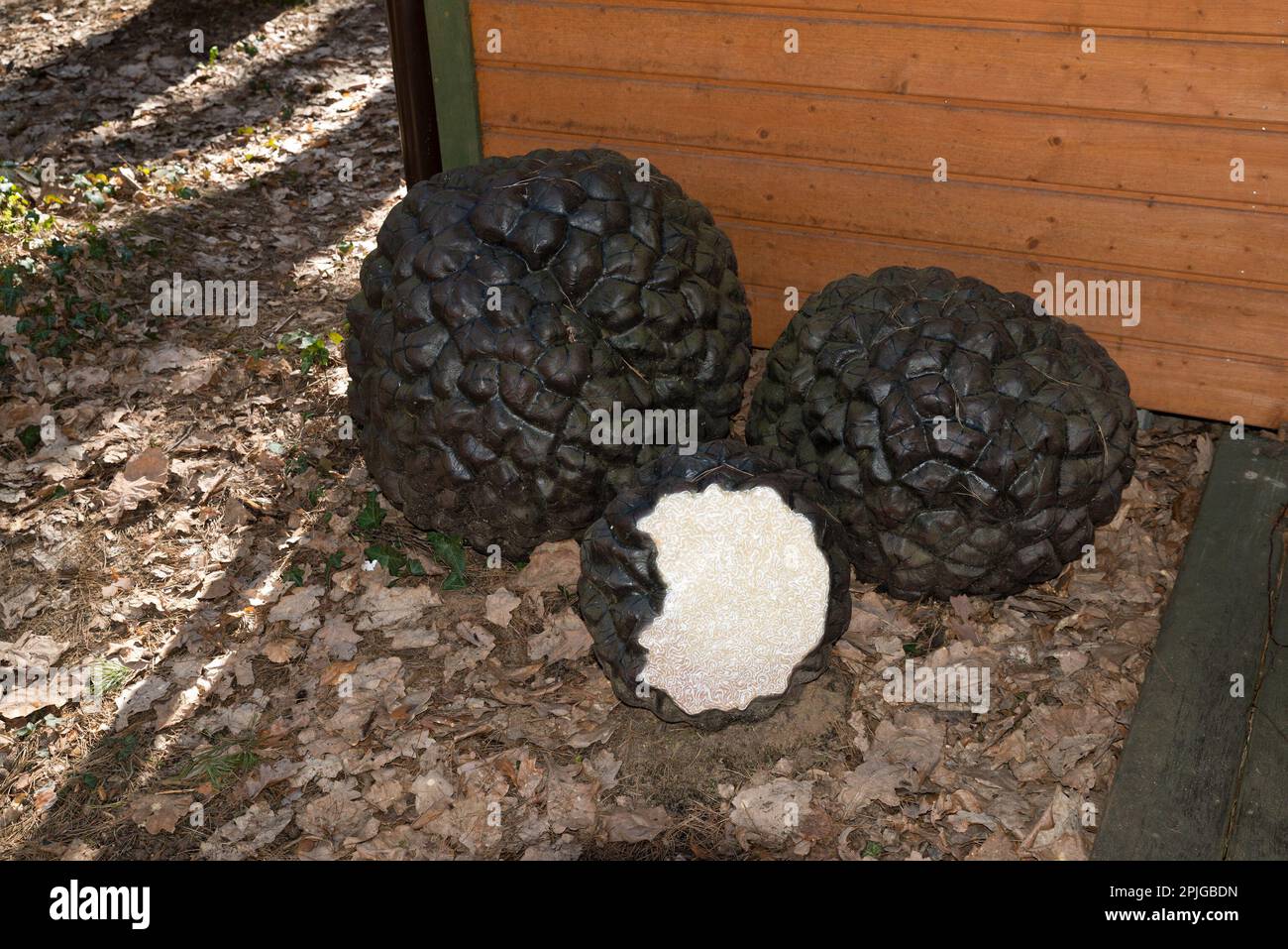 Riesige Sommertreffelskulptur, Sękocin Stary, Gmina Raszyn, innerhalb der Grafschaft Pruszków, Woiwodschaft Masowien, In Ost-Zentralpolen Stockfoto