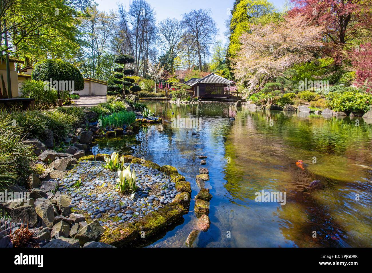 Baum neben dem teich Fotos und Bildmaterial in hoher Auflösung Alamy