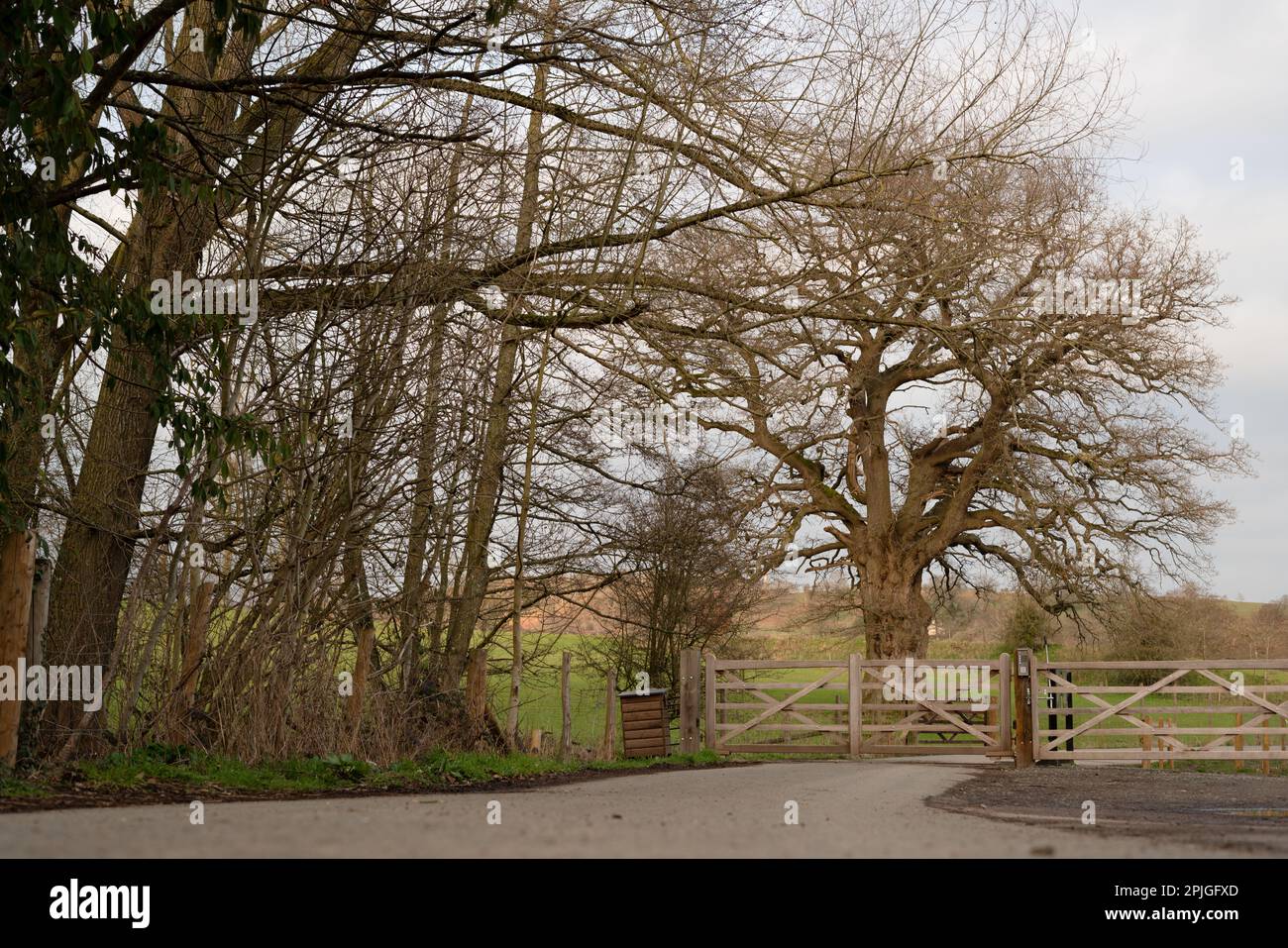 Betreten Sie den Eastnor Castle Park mit tiefer, großartiger Aussicht und dem Haupttor aus Holz. Stockfoto