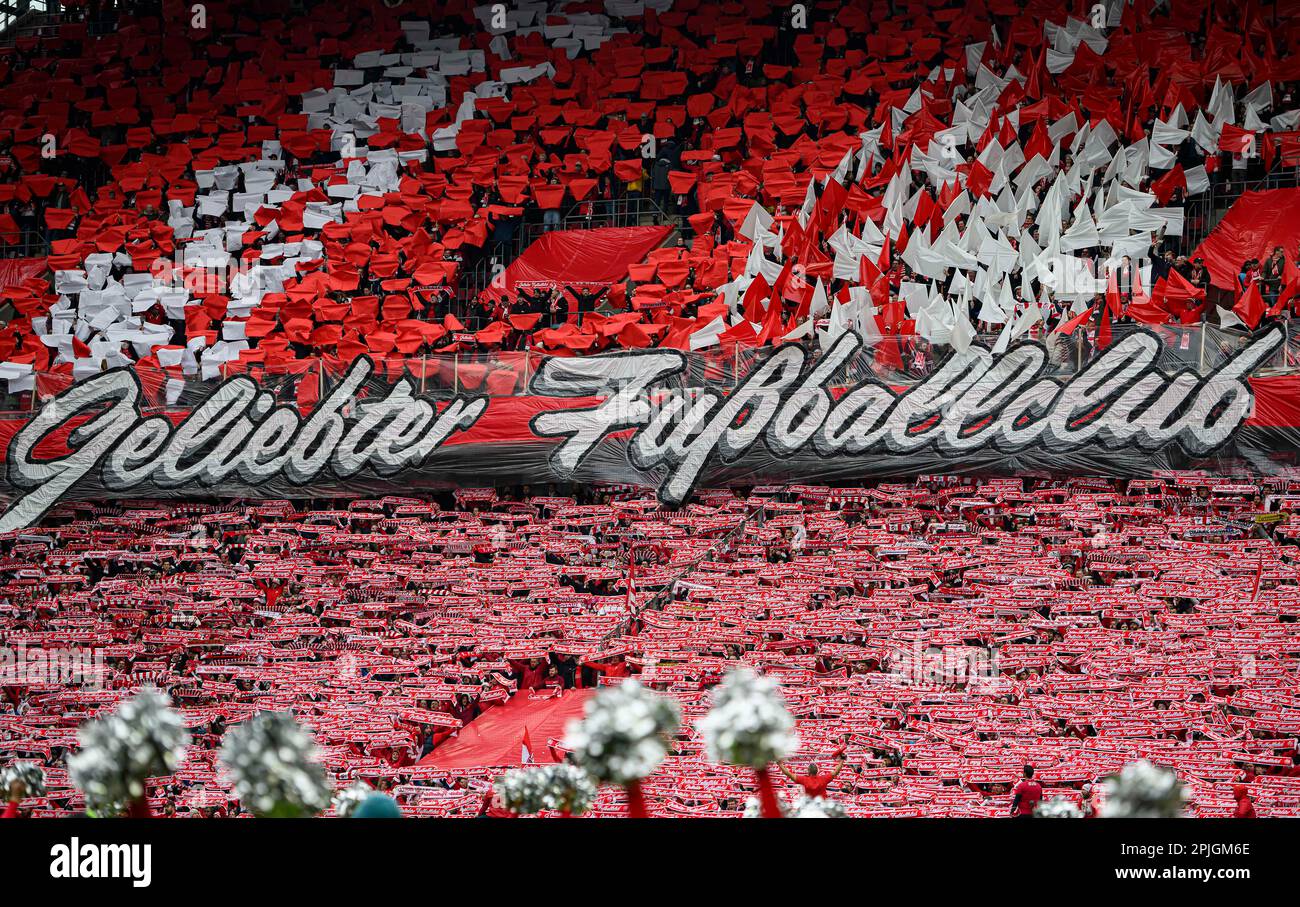 Feature, Choreographie - beliebter Fußballverein - Fankurve, Fußball 1. Bundesliga, 26. Spieltag, FC Köln (K) - Borussia Monchengladbach (MG) 0: 0, am 2. April 2023 in Köln/Deutschland. #DFL-Vorschriften verbieten die Verwendung von Fotografien als Bildsequenzen und/oder quasi-Video # Stockfoto