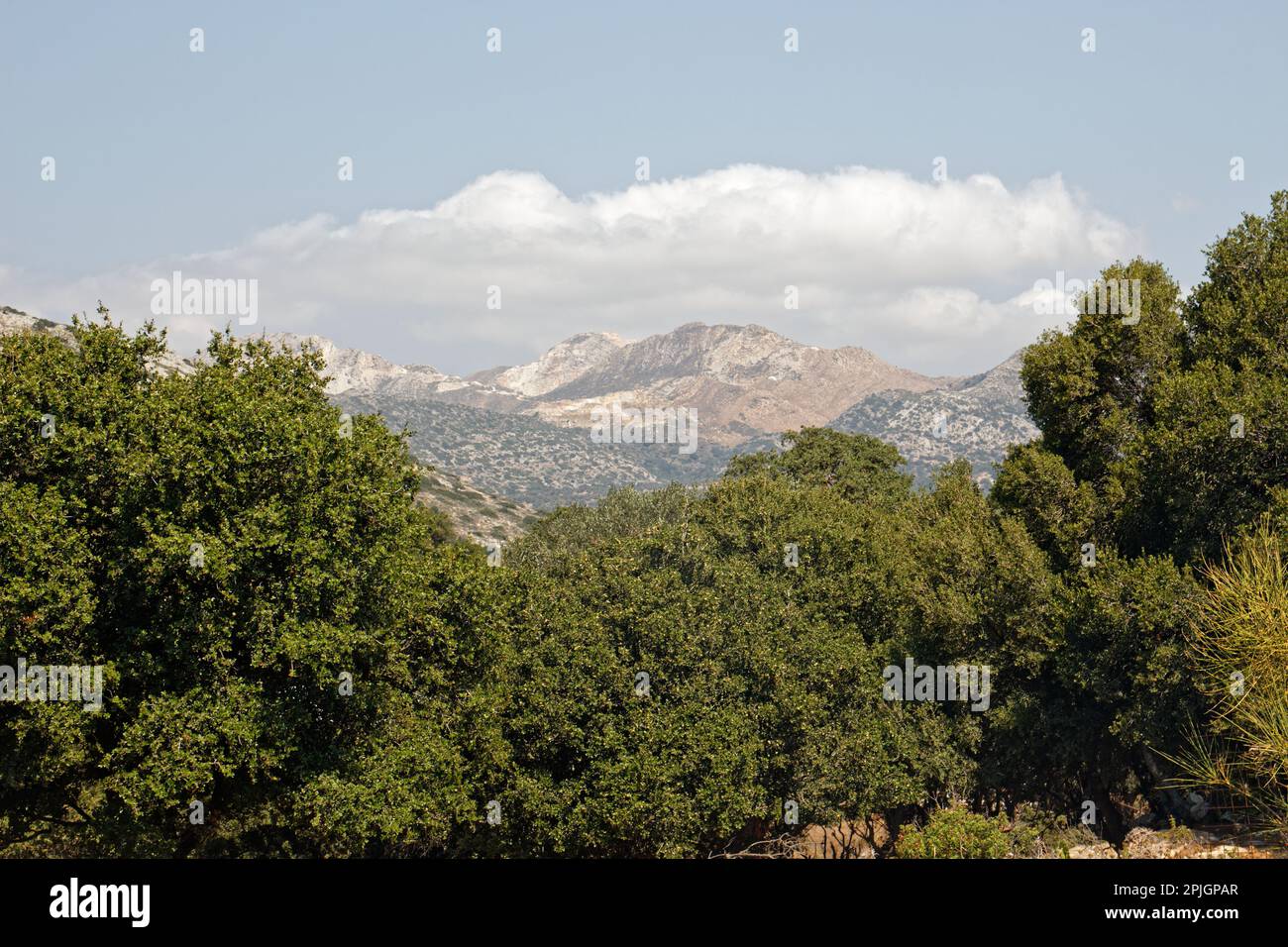 Die höchsten Hügel der Insel Naxos (und aller Kykladen) Stockfoto