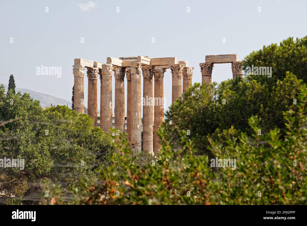 Der Tempel des Olympischen Zeus hinter der Baumgrenze in Athen, Griechenland Stockfoto