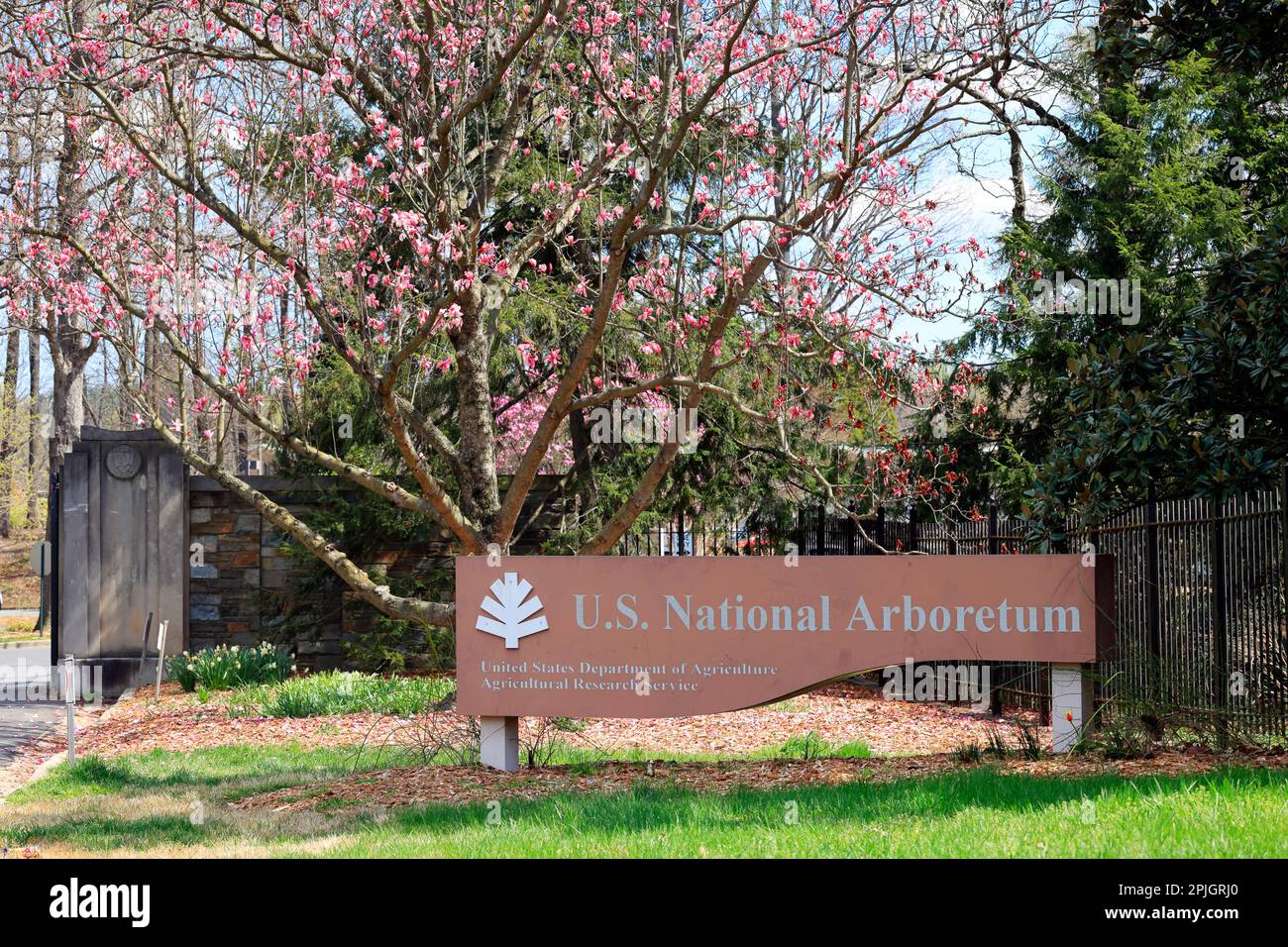 Ein Magnolienbaum hinter der Beschilderung für das US National Arboretum, Washington DC. Der Park wird vom USDA Agricultural Research Service betrieben. Stockfoto