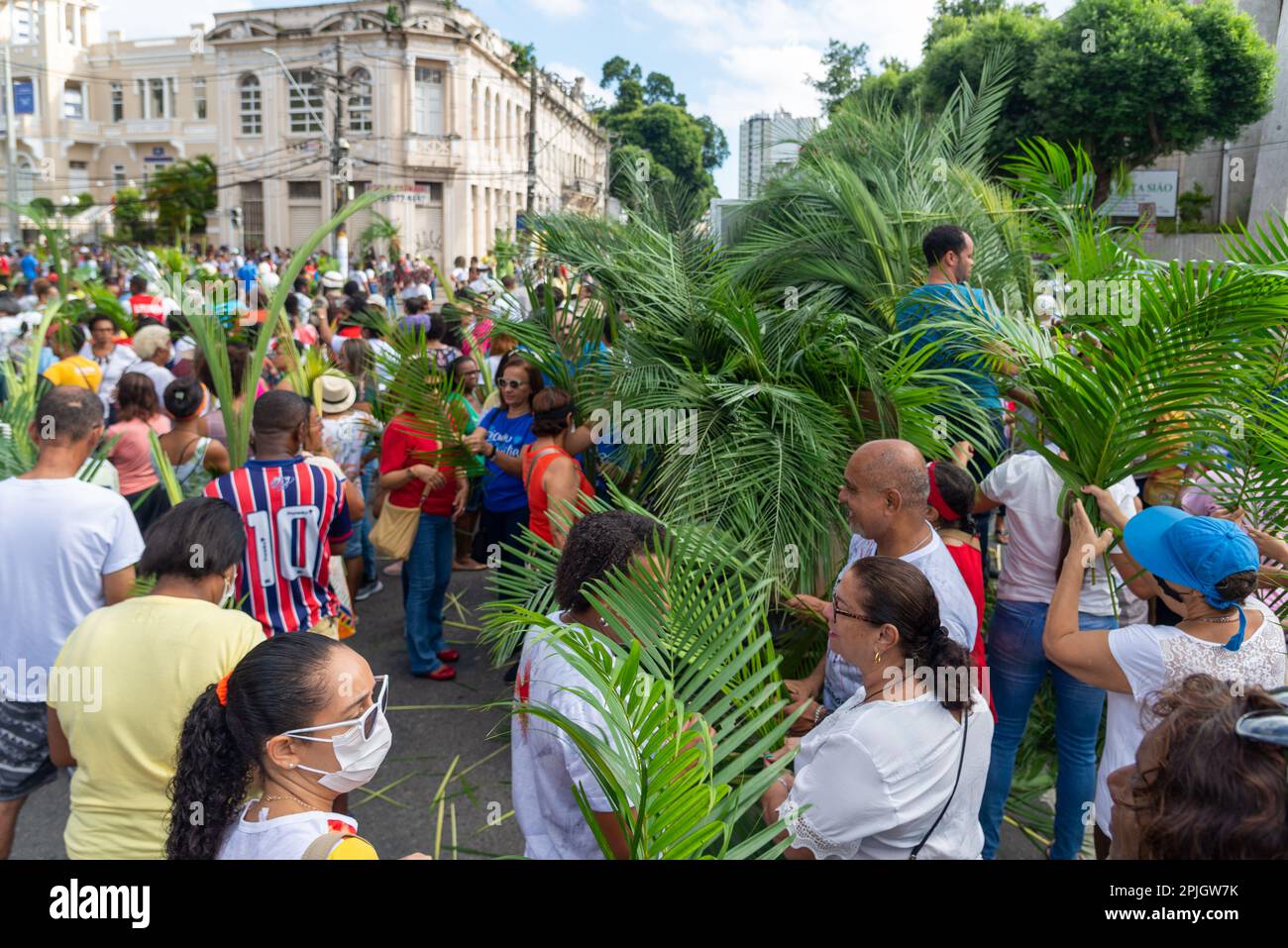 Salvador, Bahia, Brasilien - Abril 02, 2023: Katholiken holen Palmenzweige für die Palmensonntagsprozession in Salvador, Bahia. Stockfoto