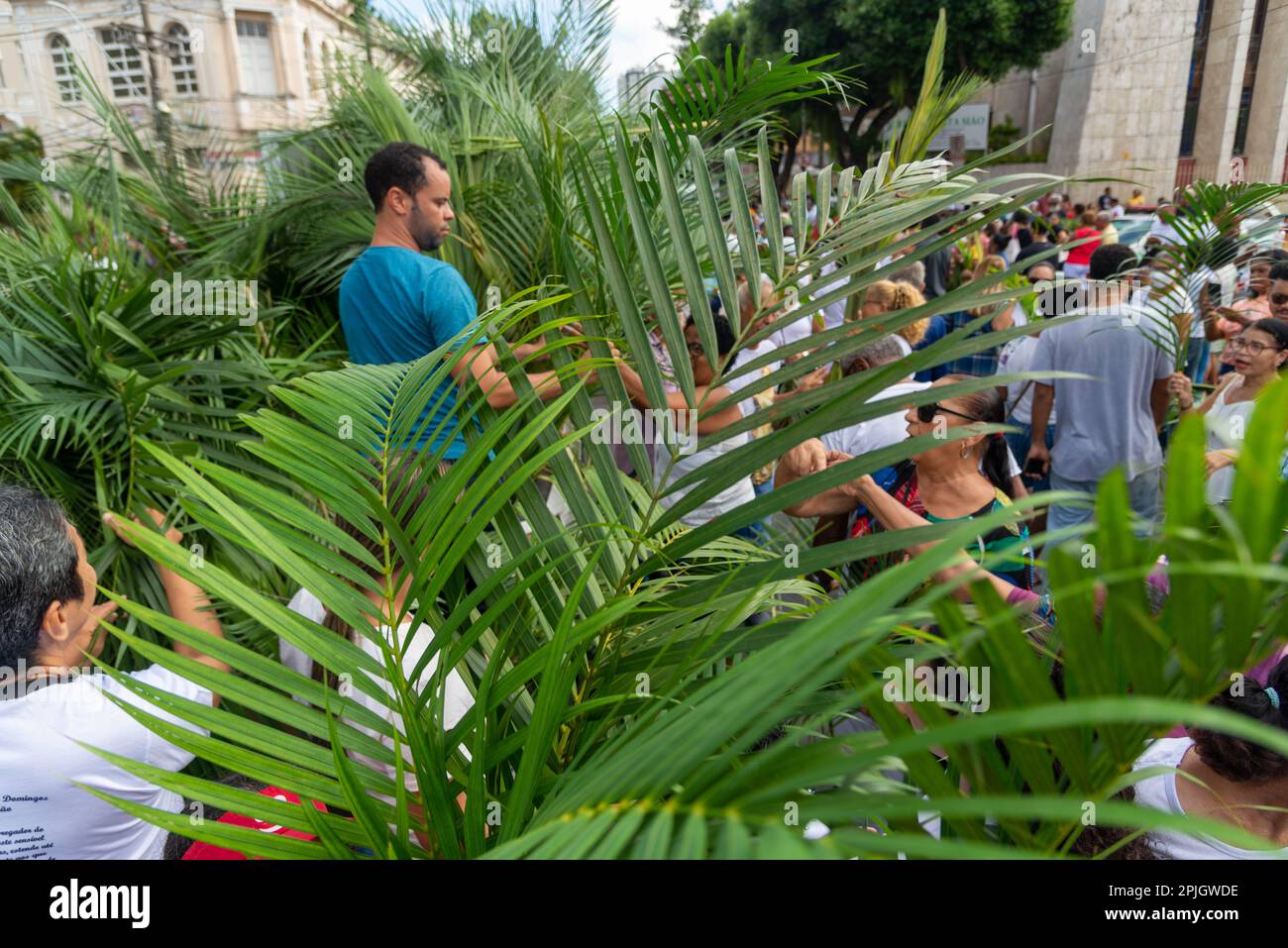 Salvador, Bahia, Brasilien - Abril 02, 2023: Katholiken holen Palmenzweige für die Palmensonntagsprozession in Salvador, Bahia. Stockfoto