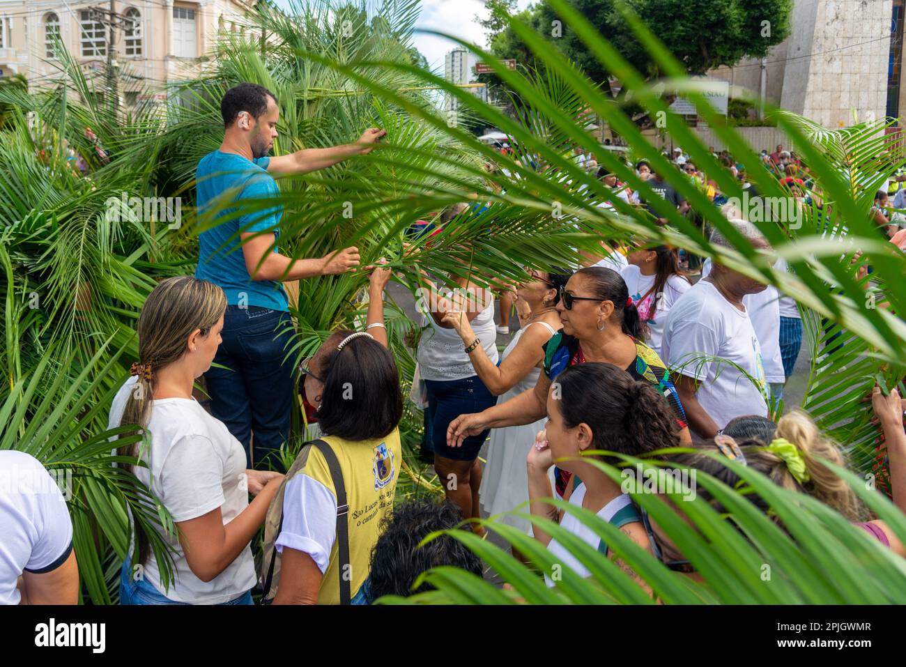 Salvador, Bahia, Brasilien - Abril 02, 2023: Katholiken holen Palmenzweige für die Palmensonntagsprozession in Salvador, Bahia. Stockfoto