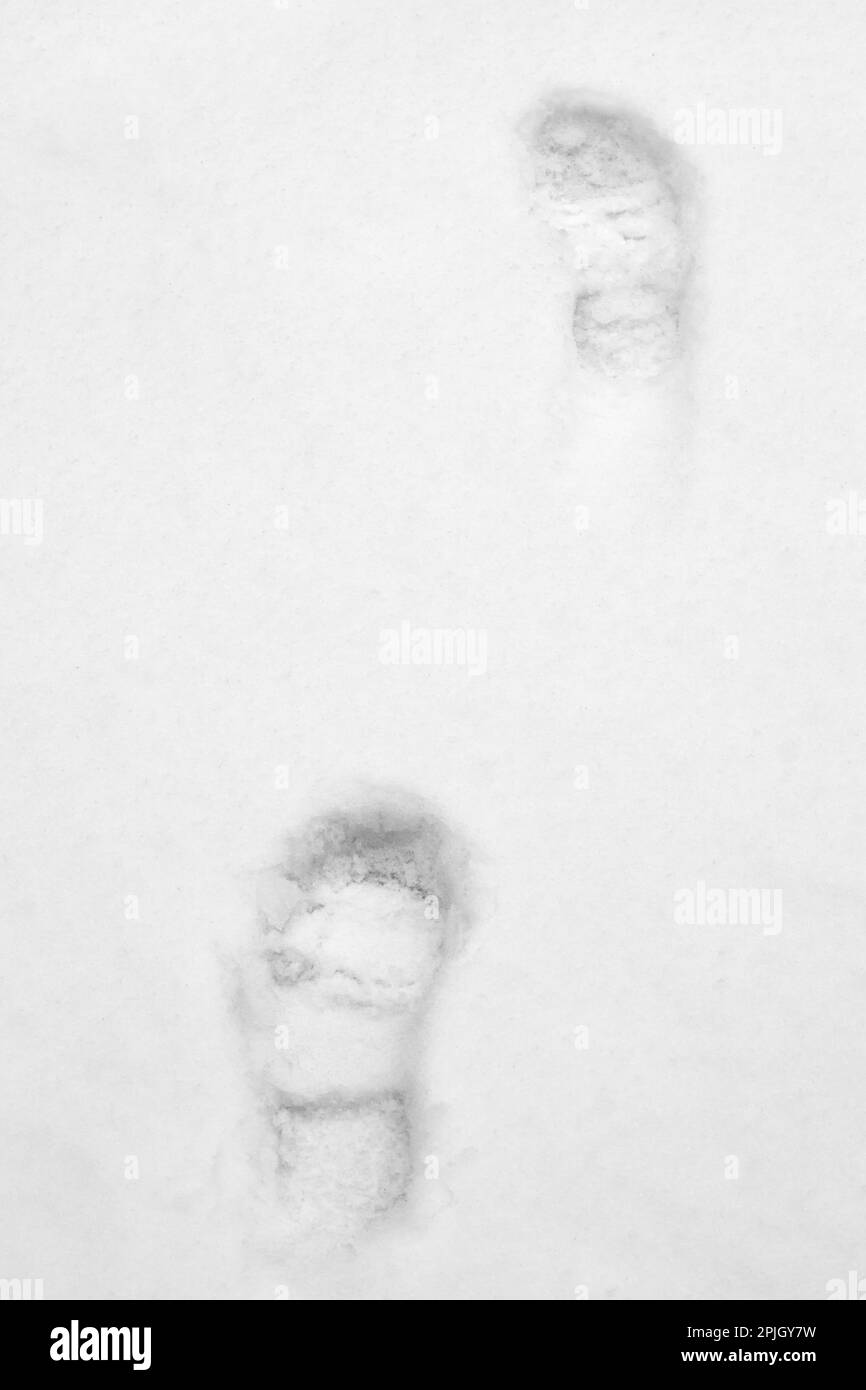 Fußspuren im frischen Schnee mit Kopierraum Stockfoto