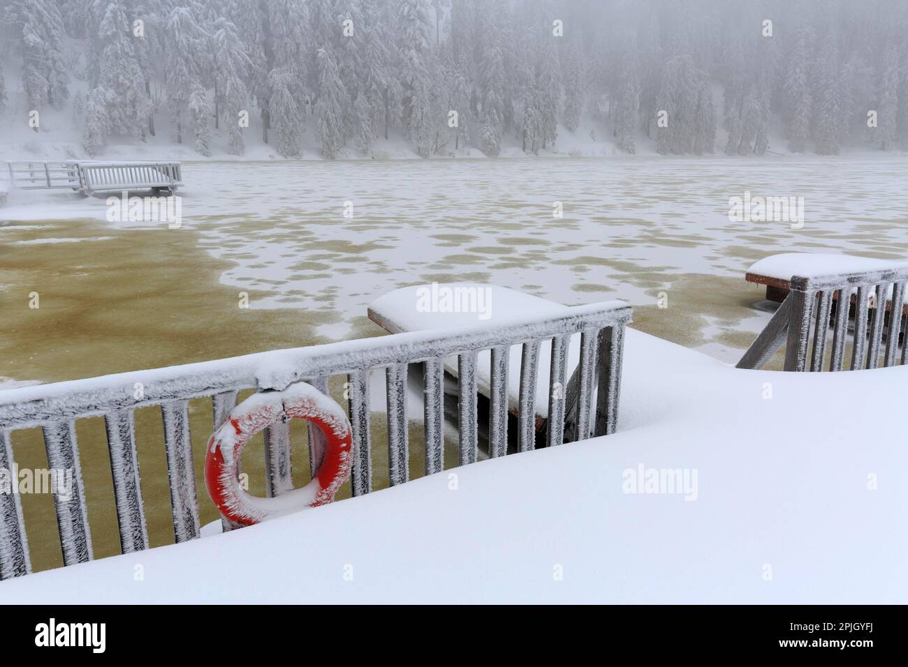 Winter, Schnee, Black Forest High Road, Blackforest, North-Blackforest, Mummelsee, Bootsbrücke, Deutschland, Winter, Schnee, Nordschwarzwald Stockfoto