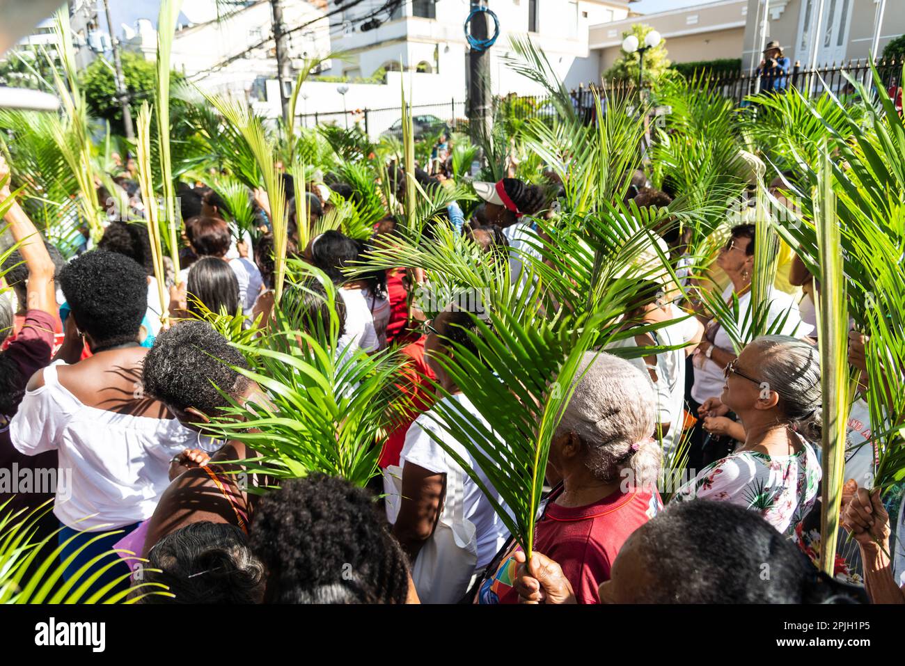 Salvador, Bahia, Brasilien - Abril 02, 2023: Katholische Gläubige halten Palmenzweige für die Palmensonntagsmesse in Salvador, Bahia. Stockfoto