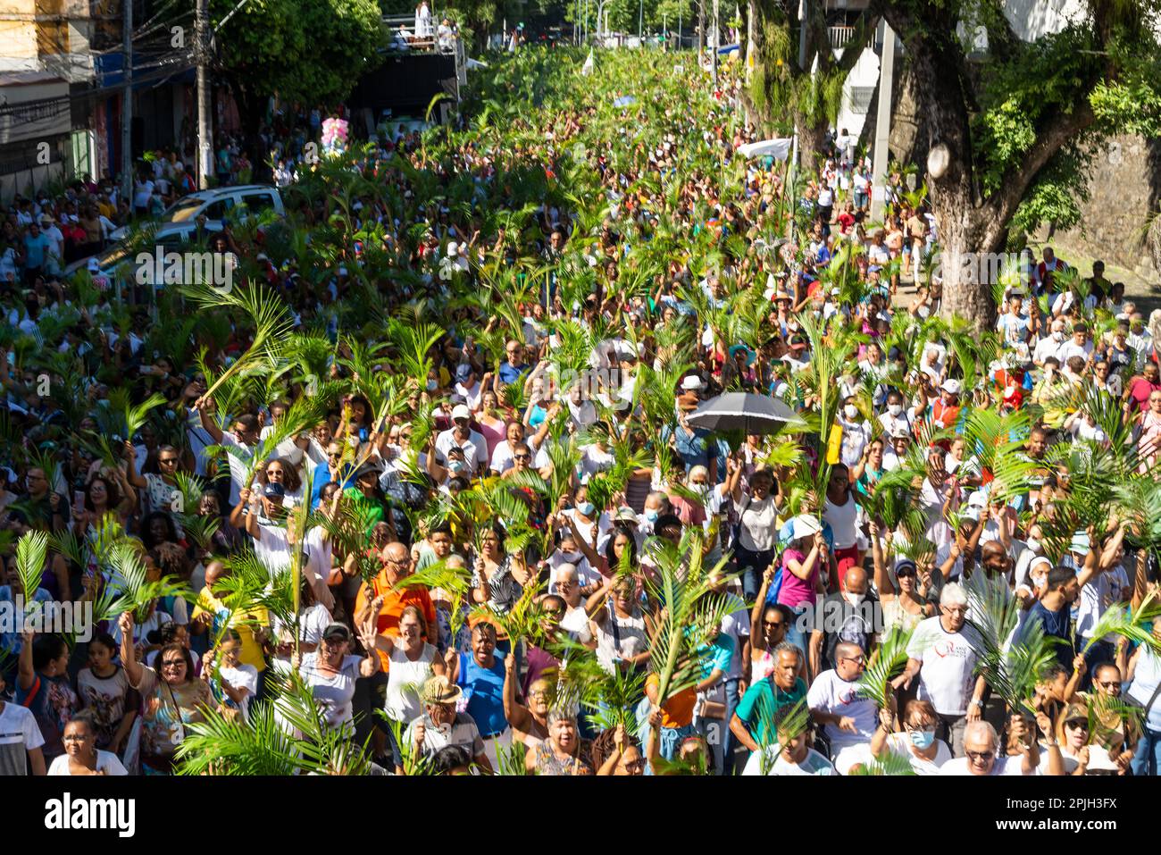 Salvador, Bahia, Brasilien - Abril 02, 2023: Menschenmassen katholischer Gläubiger winken Palmenzweige während der Palmensonntagsprozession in Salvador, Bahia. Stockfoto