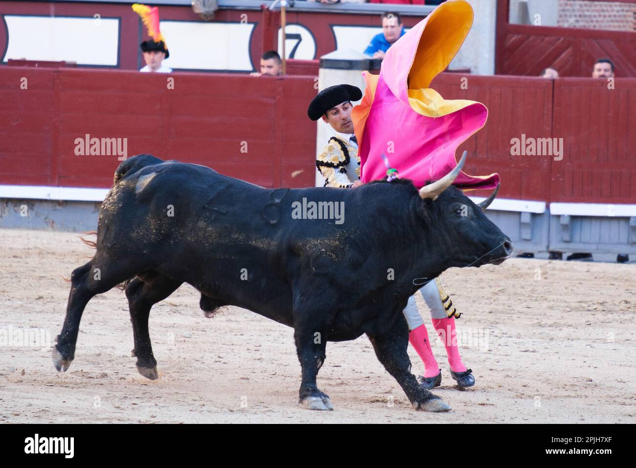 Madrid, Spanien. 02. April 2023. Stierkämpfer Gomez del Pilar während des Stierkampfs am Palm Sunday in der Stierkampfarena Las Ventas in Madrid gesehen. Kredit: SOPA Images Limited/Alamy Live News Stockfoto