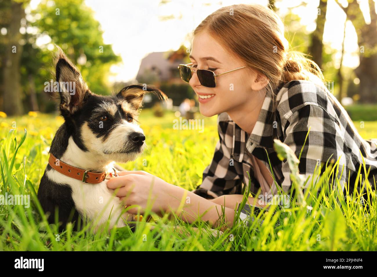 Teenager mit ihrem süßen Hund, der im Park auf grünem Gras ruht Stockfoto