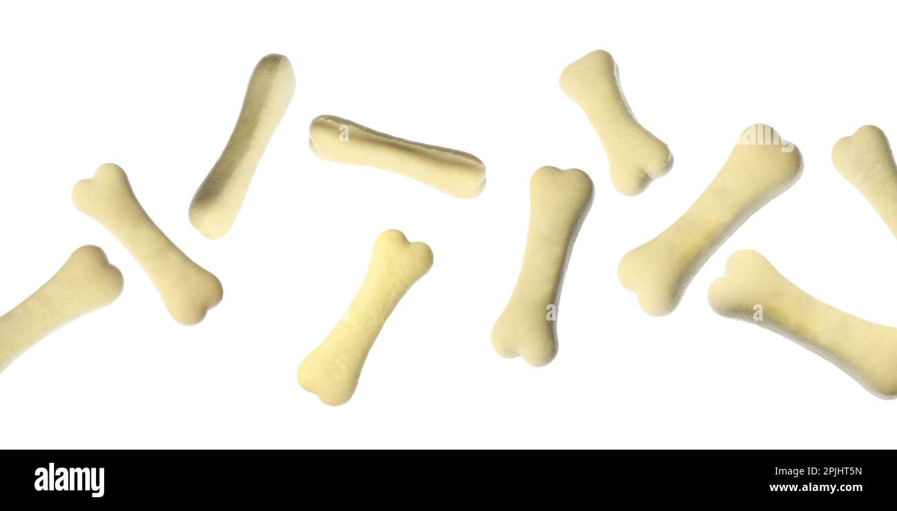 Knochenförmige Kekse für Hunde auf weißem Hintergrund Stockfoto