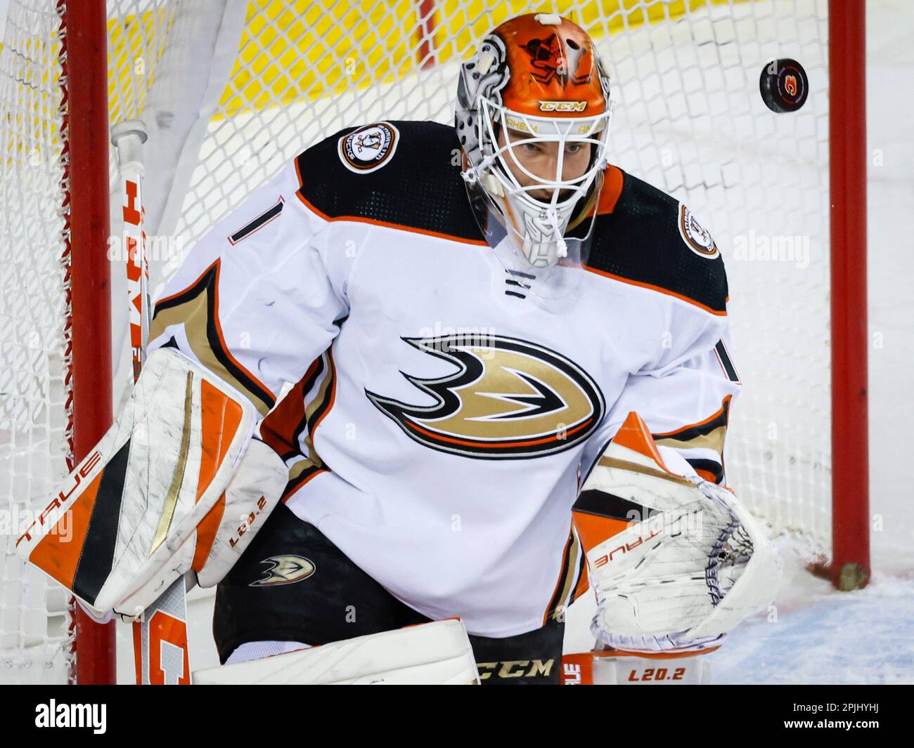 Anaheim Ducks goalie Lukas Dostal watches the puck during firstperiod