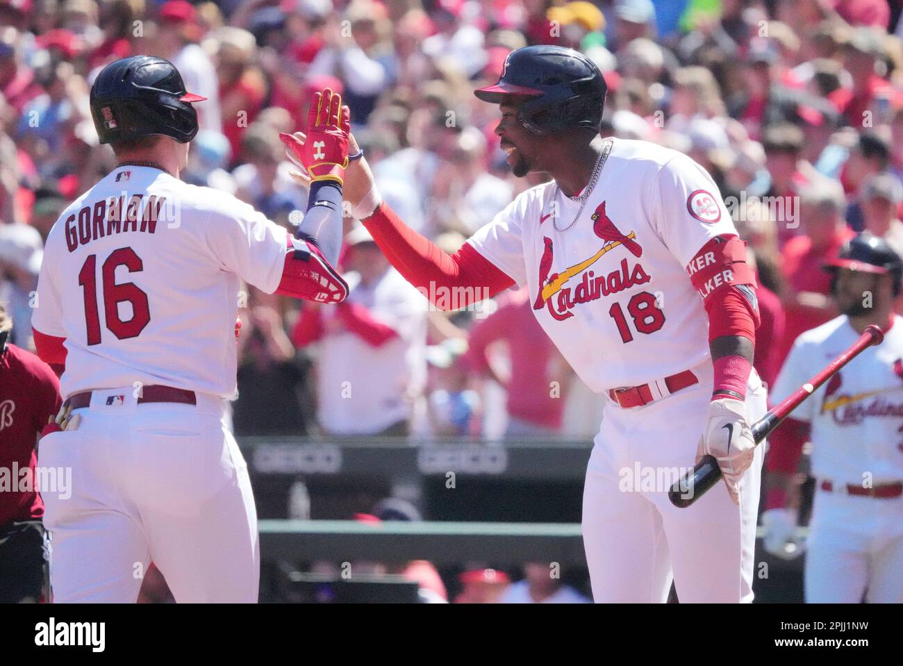 St. Louis Cardinals Jordan Walker (R) gratuliert Teamkollege Nolan Gorman, nachdem Gorman im ersten Inning im Busch Stadium in St. einen zwei Run-Homerun gegen die Toronto Blue Jays geschafft hat Louis am Sonntag, den 2. April 2023. Gorman hat zwei Homeruns an dem Tag geschafft. Foto: Bill Greenblatt/UPI Stockfoto