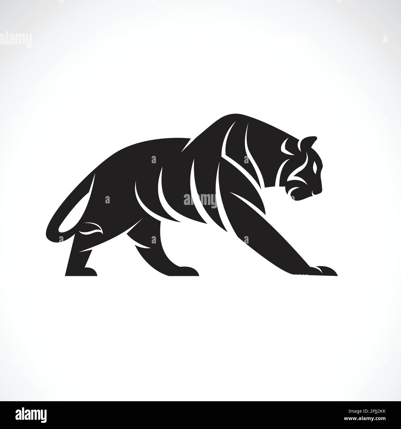 Vektor eines Tigerdesigns auf weißem Hintergrund. Wilde Tiere. Stock Vektor