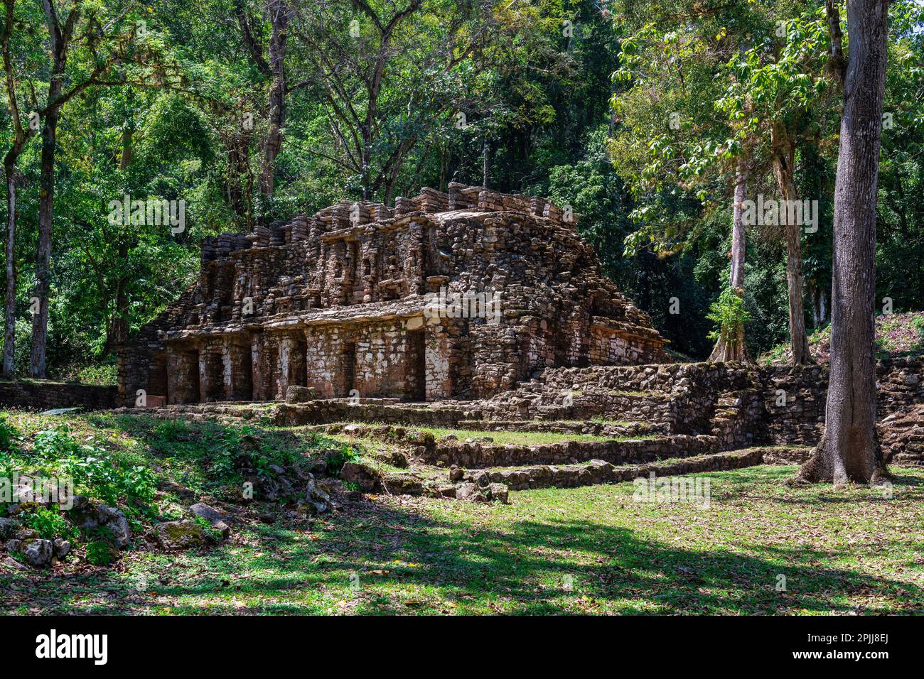 Structure 19 oder das Labyrinth, Maya Ruin von Yaxchilan, Chiapas, Mexiko. Stockfoto