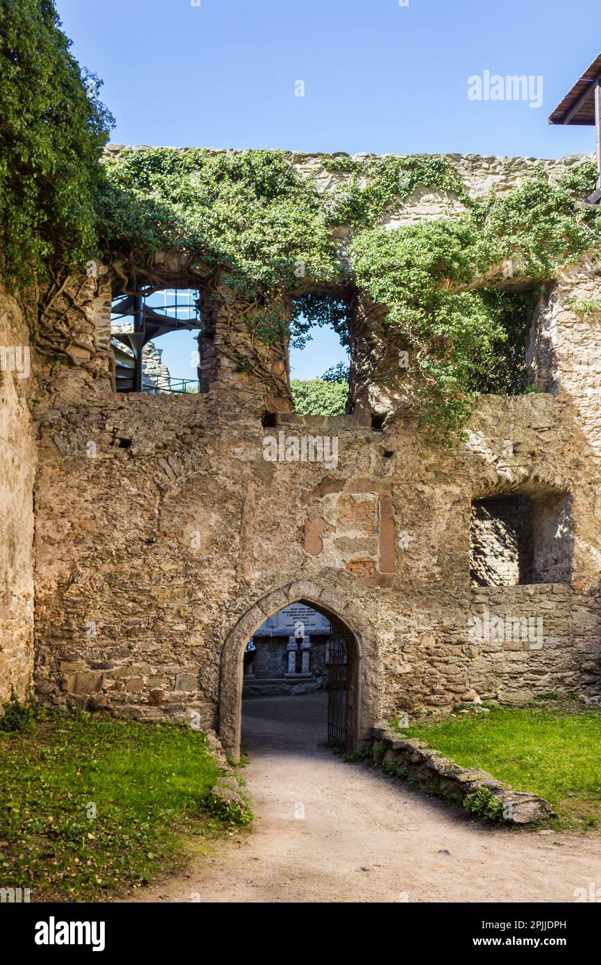Die Mauer ist mit Pflanzen überwuchert in der mittelalterlichen Burg Chojnik in Polen Stockfoto