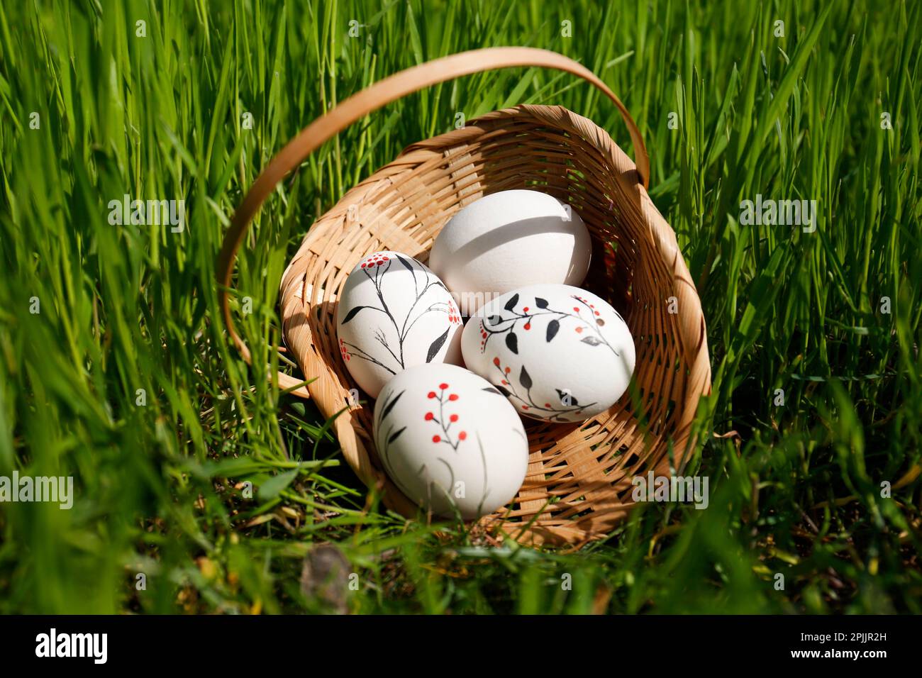 Korb aus Korb mit dekorierten Ostereiern im grünen Gras im Freien Stockfoto