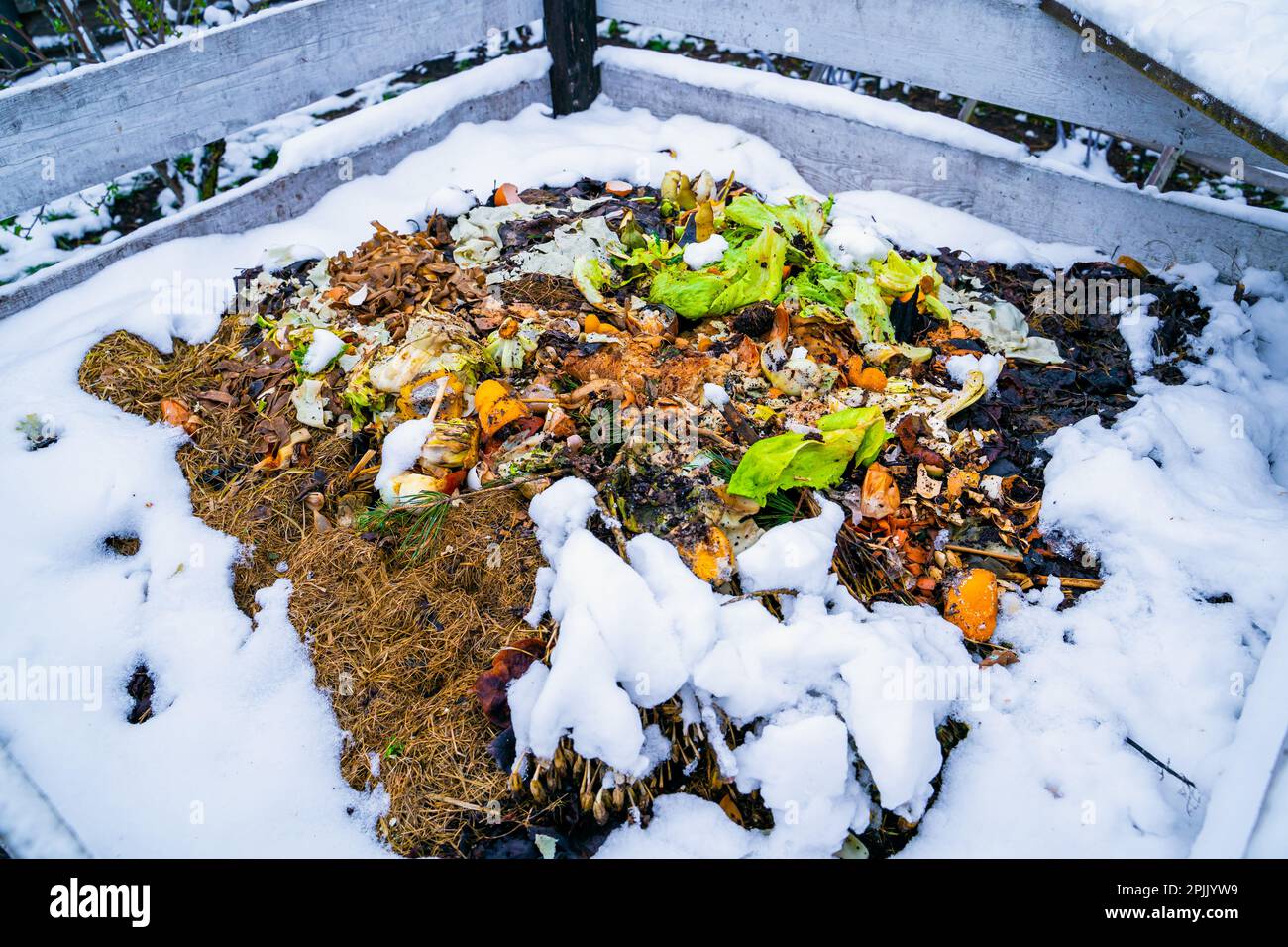 Komposthaufen im Schnee im Winter, Nahaufnahme Stockfoto