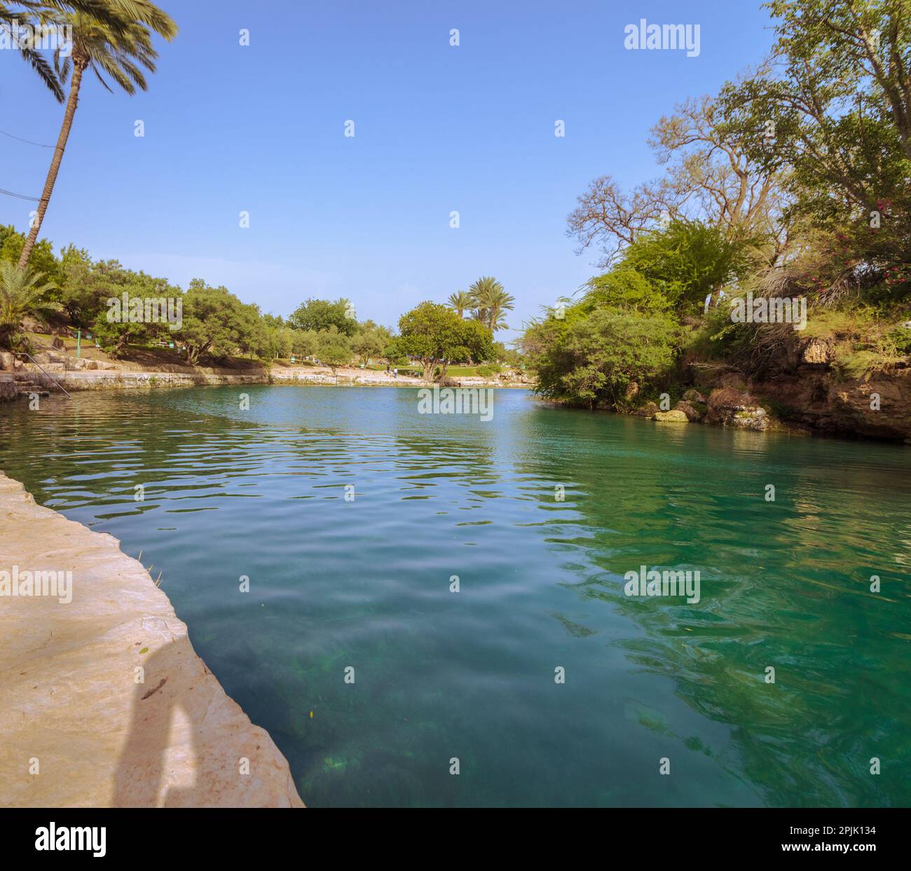 Ein türkisfarbener Süßwassersee im Naturschutzgebiet Gan HaSlosha - Sakhana, im Beit Shean Valley - Israel Stockfoto