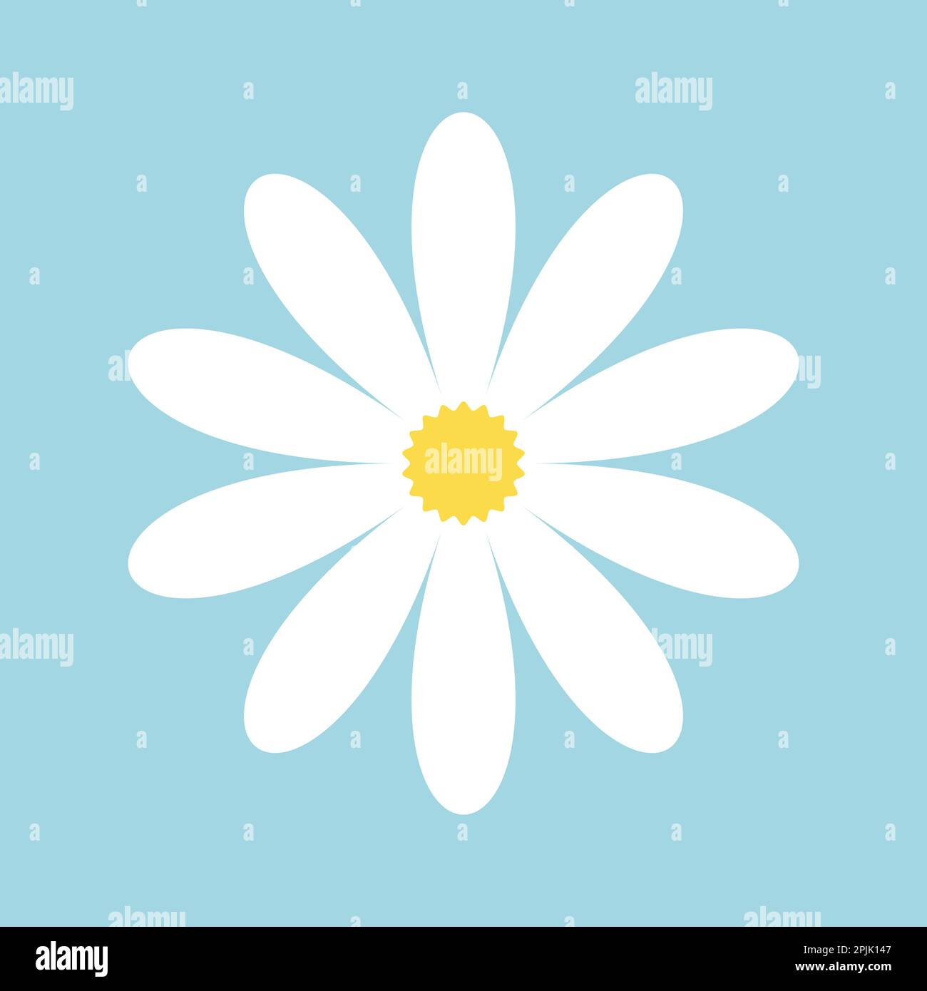 Daisy-Symbol. Kamillenvektorsymbol isoliert Stock Vektor