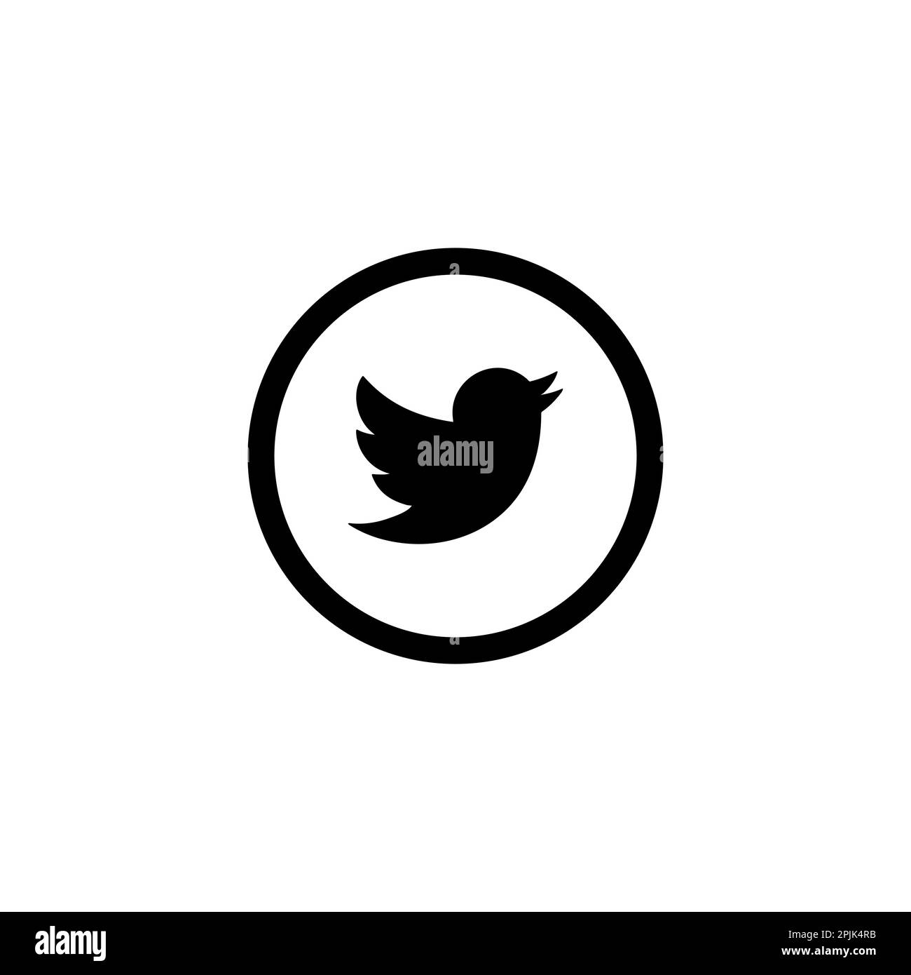 Einzelnes twitter-Symbol. twitter-Icon-Grafikdesign. twitter-Symbolvektor. Vektordesign für Social-Media-Ikonen Stock Vektor