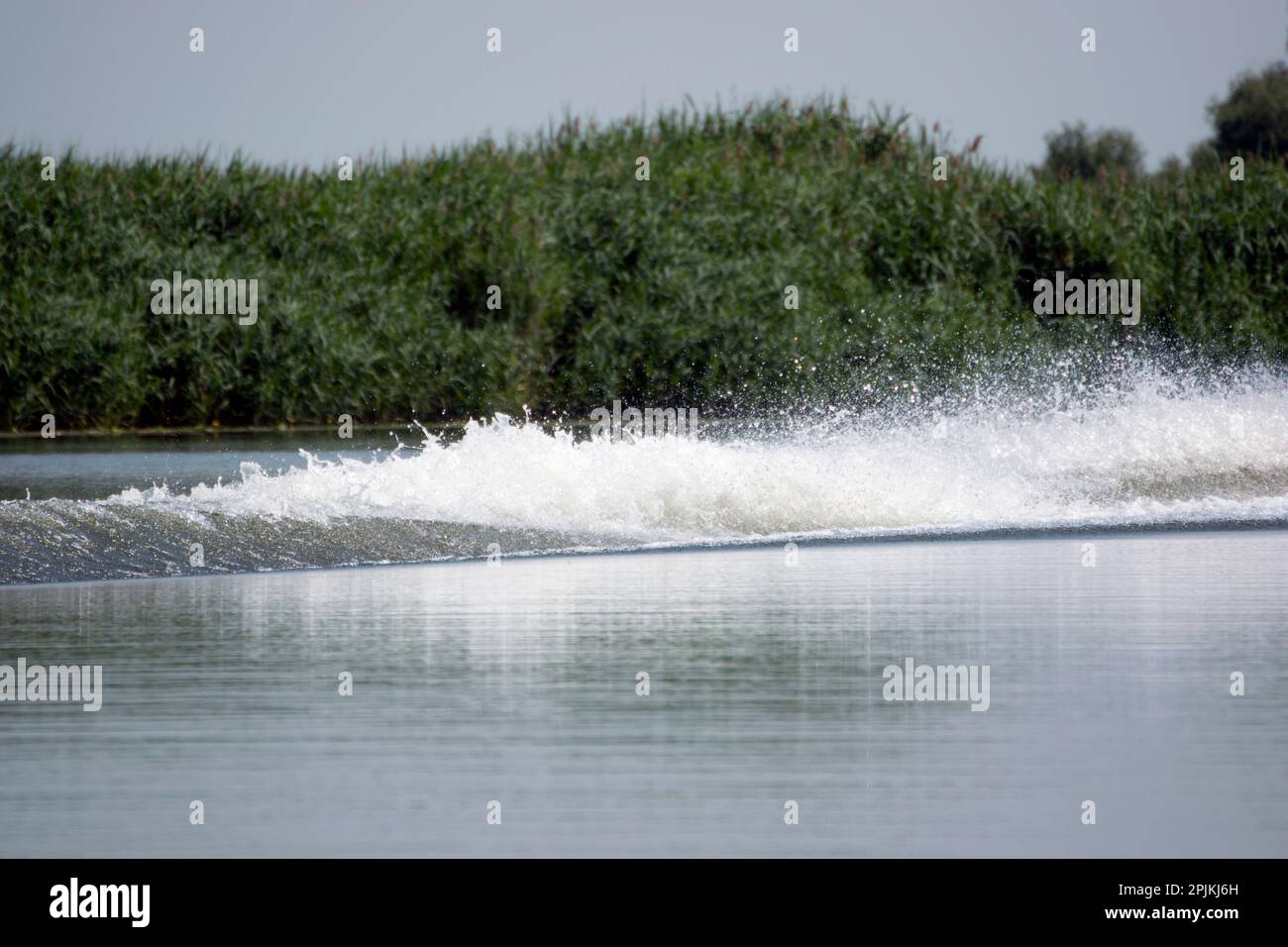 Wellen, die von einem Boot erzeugt wurden, das mit Geschwindigkeit an einem der Ufer des Donaudeltas vorbeifuhr. Stockfoto