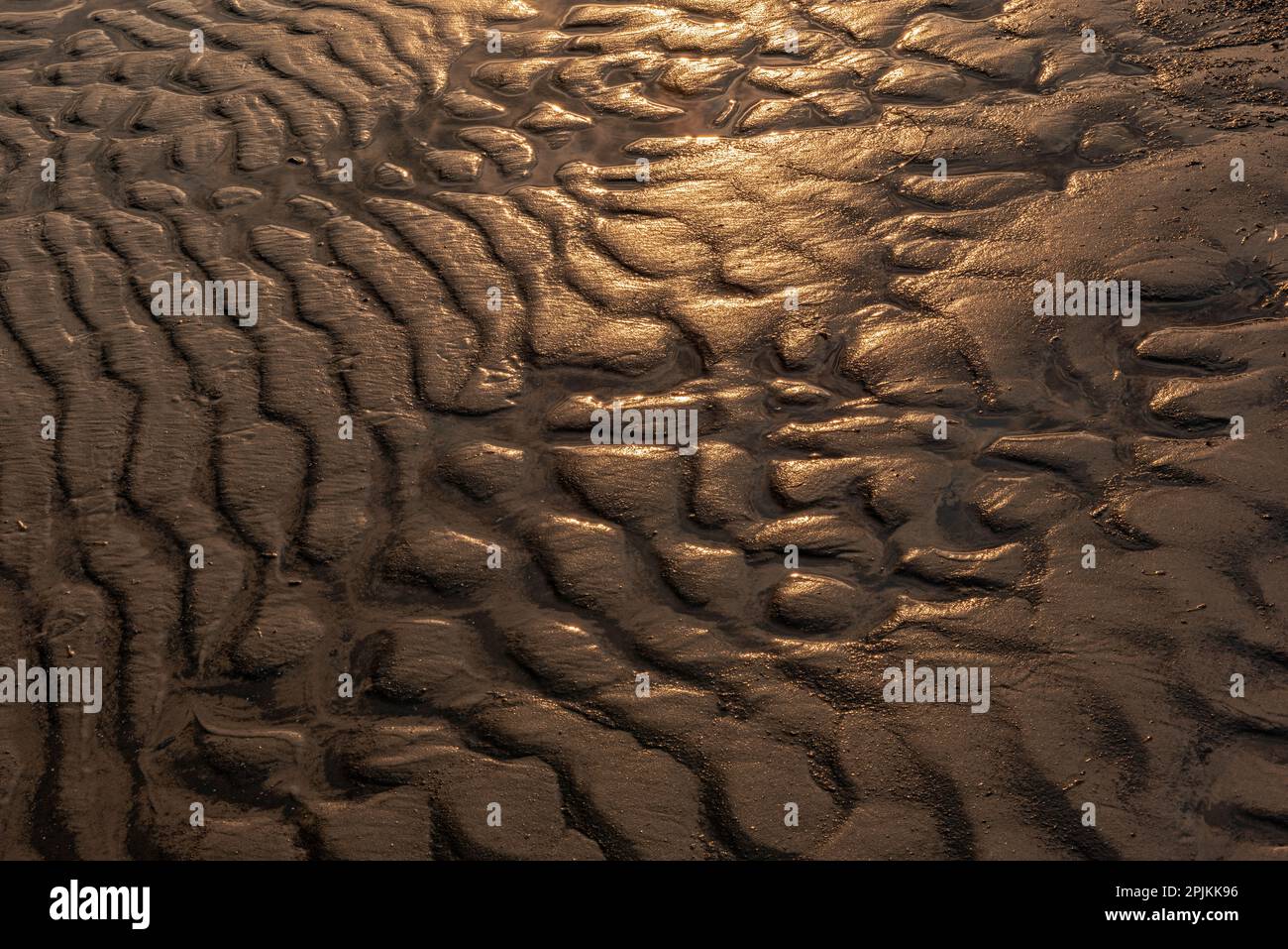 Kanada, Manitoba, Winnipeg. Wellenmuster am Sandstrand des Lake Winnipeg. Stockfoto