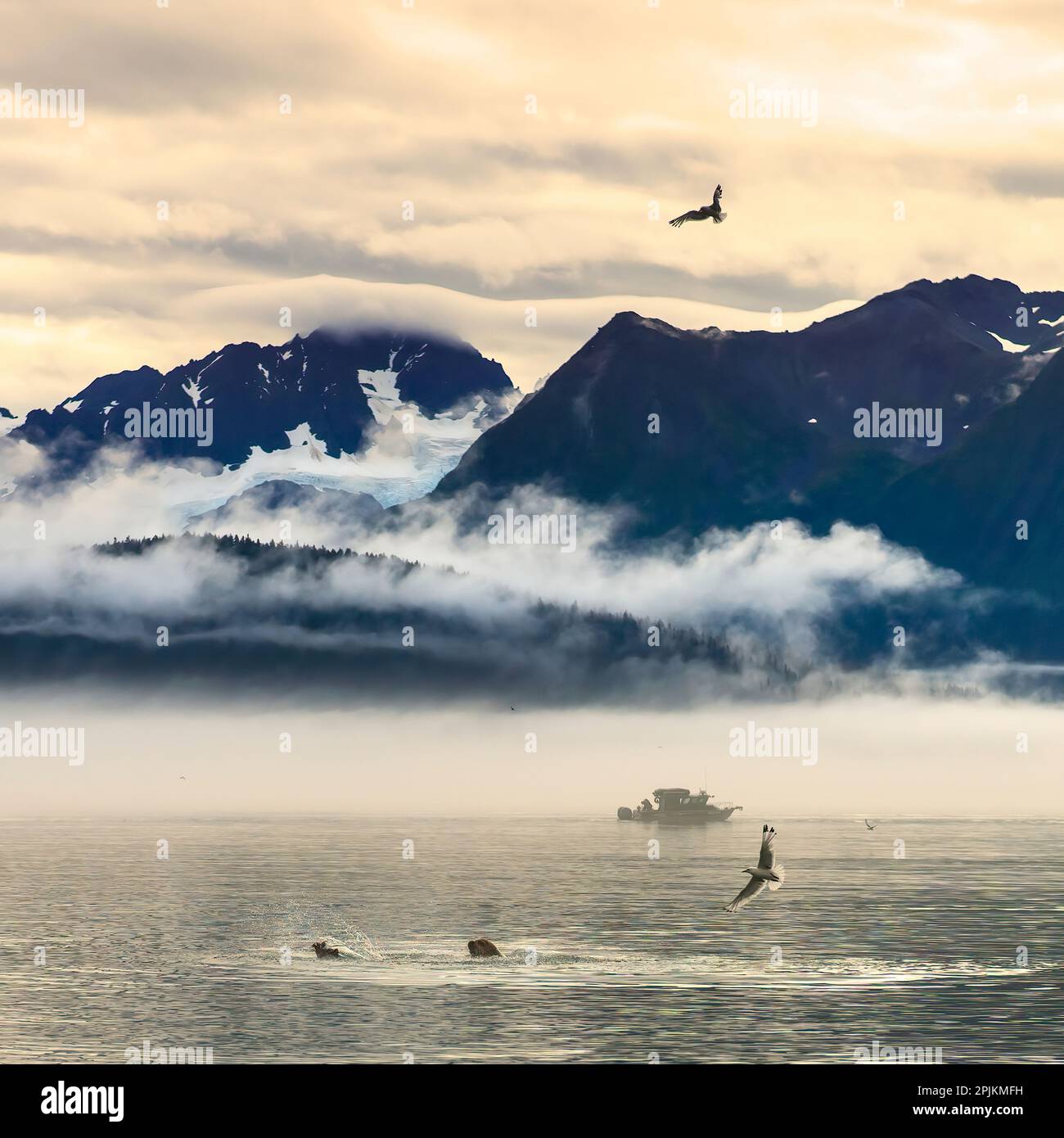 Fischerboot auf der Halbinsel Kenai, umgeben von Bergen und Wildtieren Stockfoto