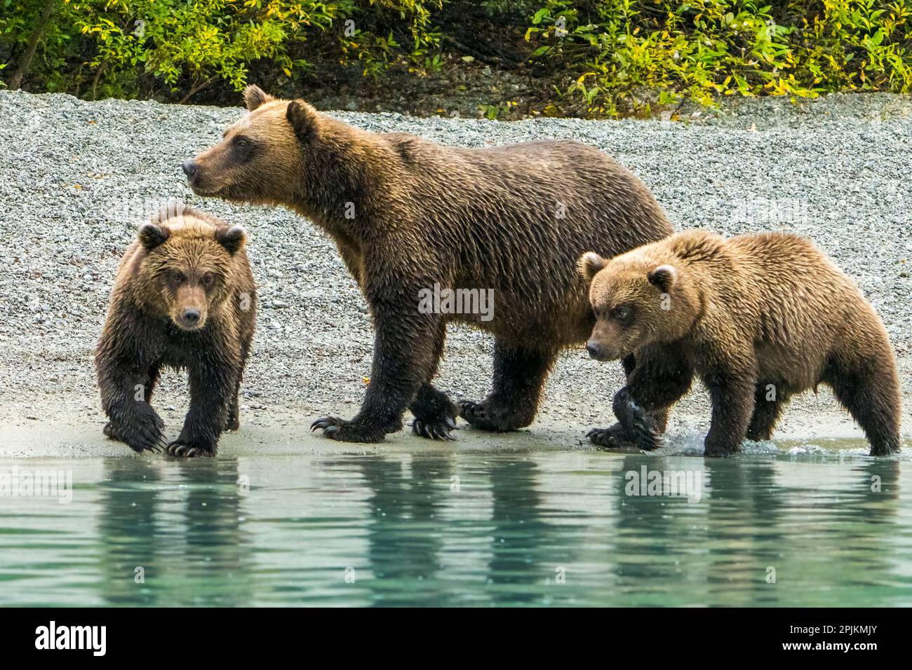 Alaska, Lake Clark. Mom und zwei Jungen gehen am Ufer entlang. Stockfoto