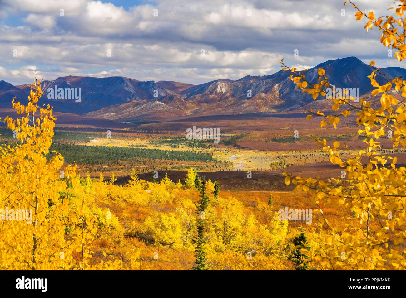 Alaska, Denali-Nationalpark. Goldene Landschaft aus Tal und Bergen. Stockfoto