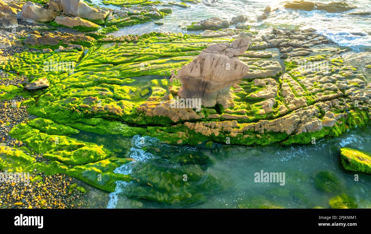 Erstaunlich von Rock and Moos am Co Thach Beach, Tuy Phong, Binh Thuan Province, Vietnam, Seascape of Vietnam Strange Rocks. Stockfoto