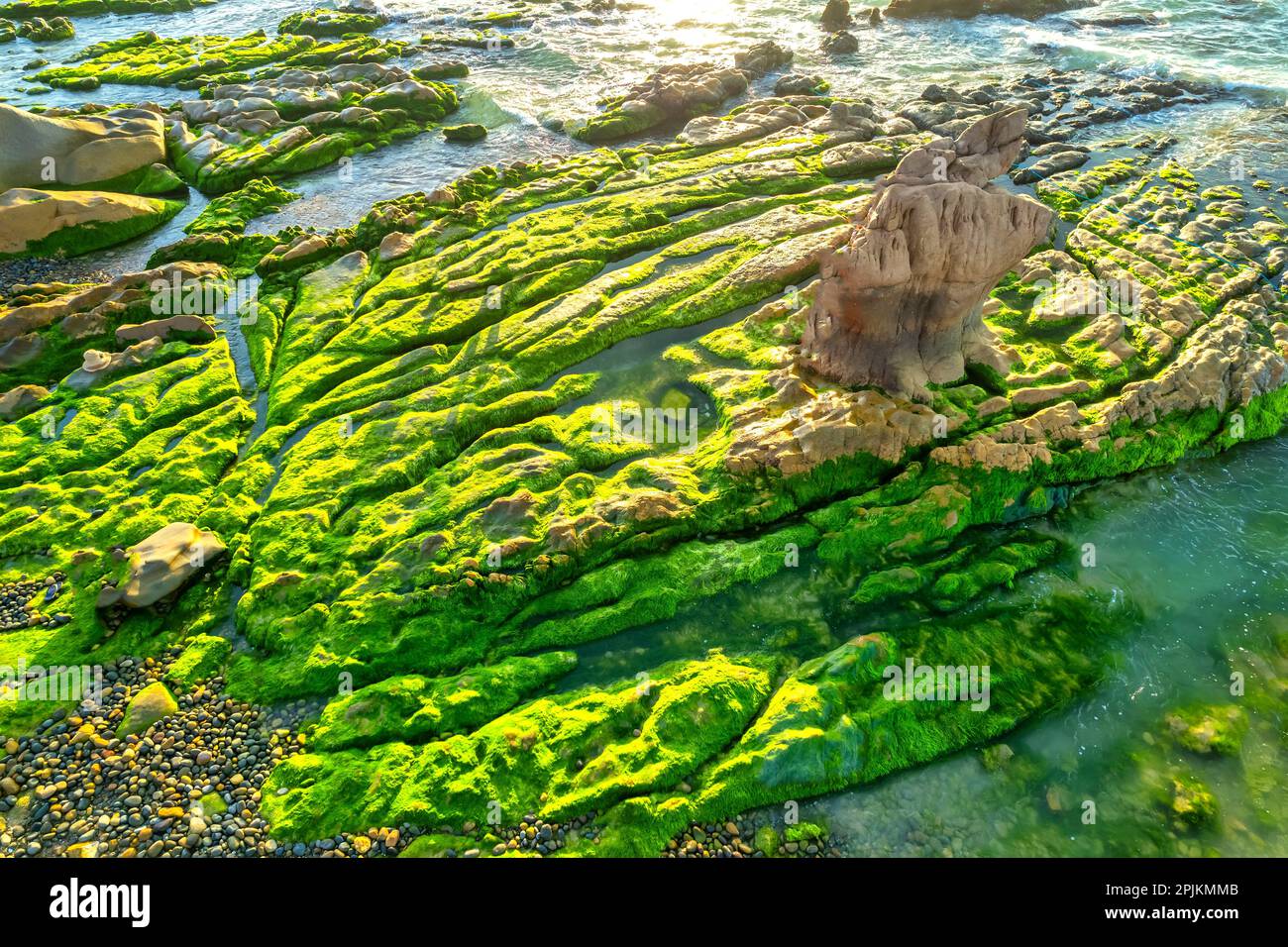 Erstaunlich von Rock and Moos am Co Thach Beach, Tuy Phong, Binh Thuan Province, Vietnam, Seascape of Vietnam Strange Rocks. Stockfoto