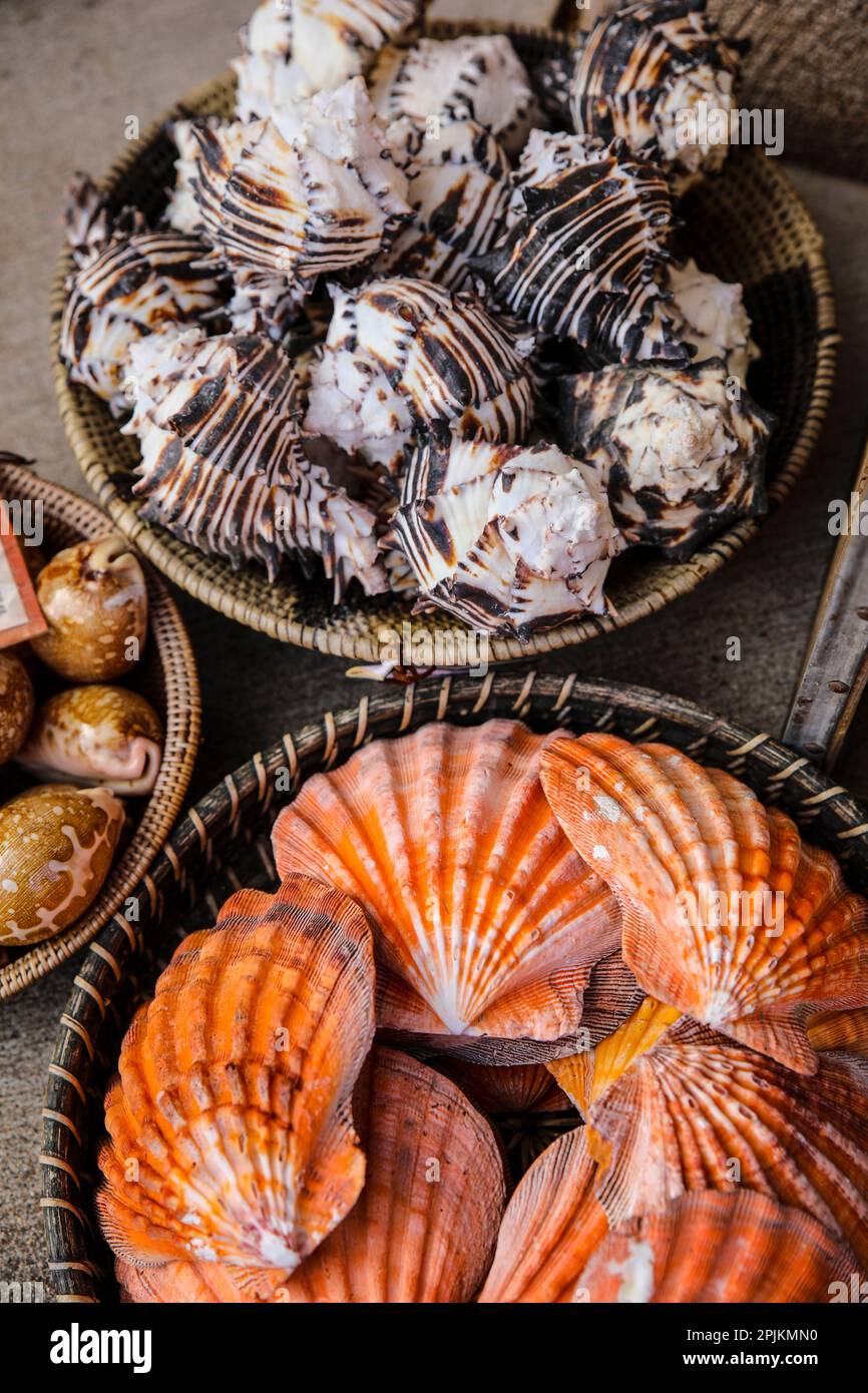 Arizona, USA. Muscheln in gewebten Körben Stockfoto