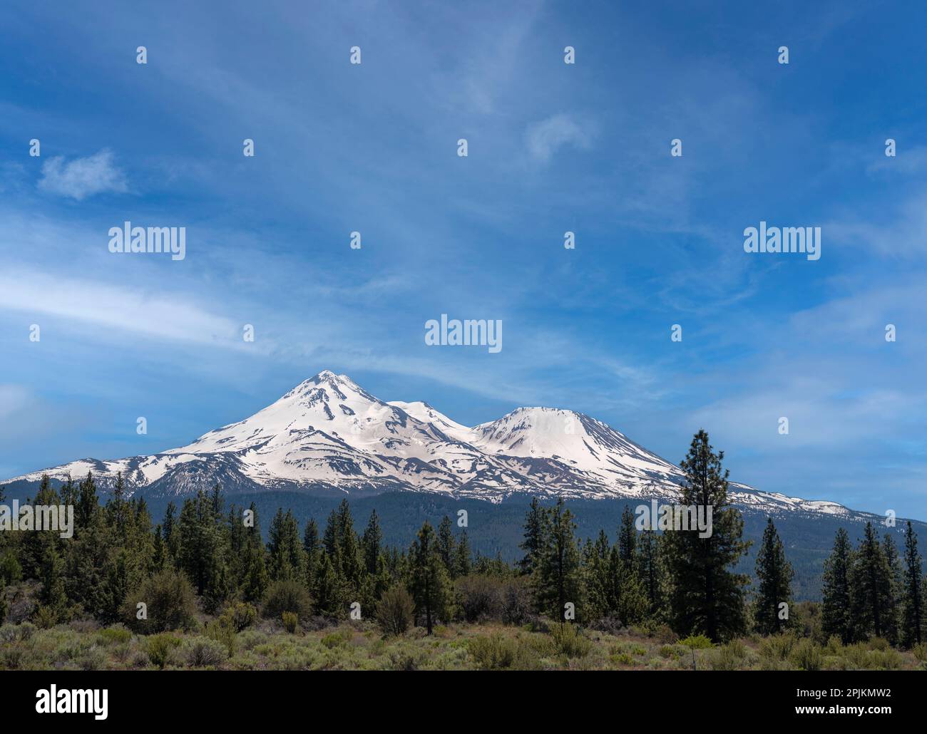 Mt. Shasta, der höchste Vulkan in Kalifornien. Stockfoto
