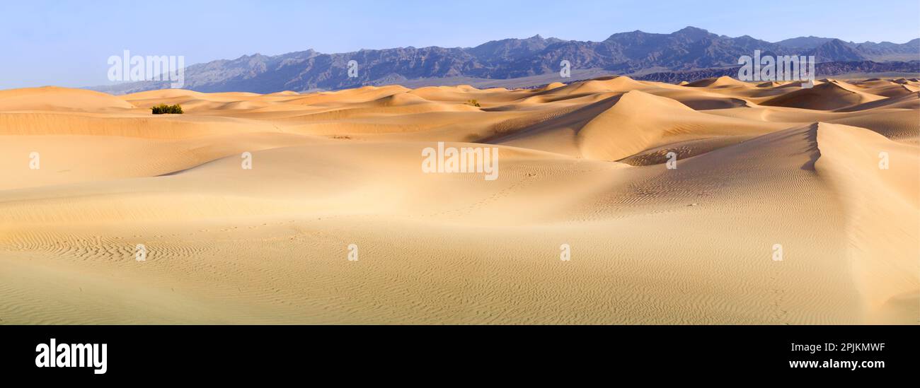 Death Valley. Landschaft der Mesquite Flats Sanddünen. Stockfoto