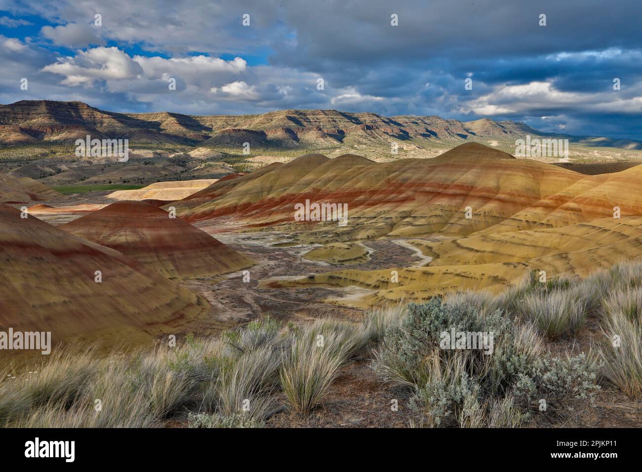USA, Oregon. John Day Fossil Beds National Monument Badlands Landschaft. Stockfoto