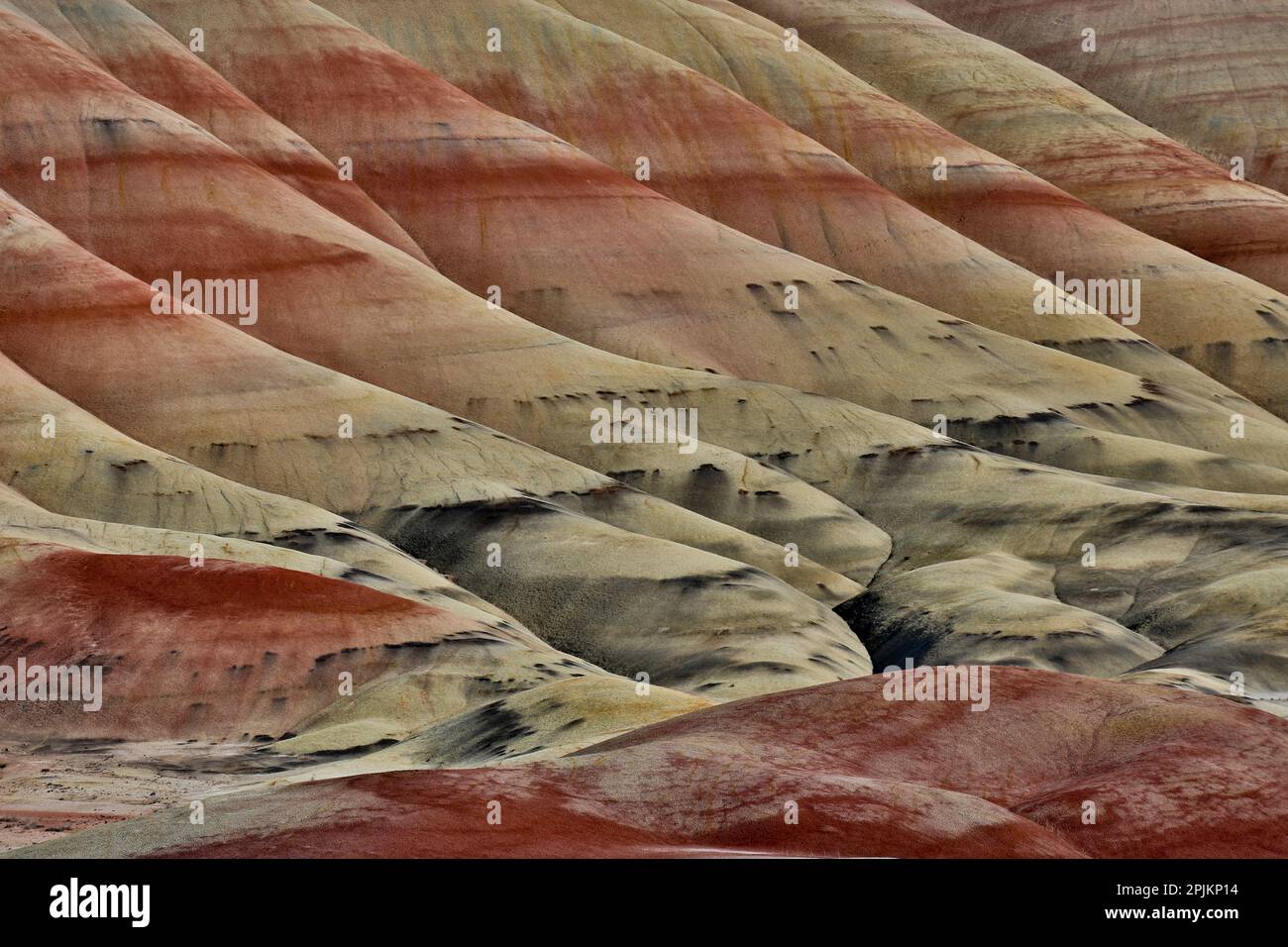 USA, Oregon. John Day Fossil Beds National Monument Badlands Landschaft. Stockfoto