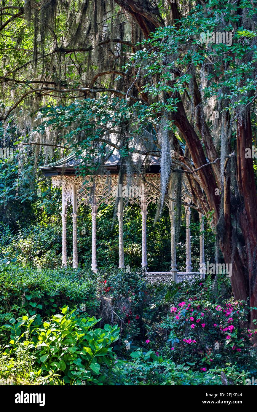 USA, South Carolina, Charleston. Magnolia-Plantage Stockfoto